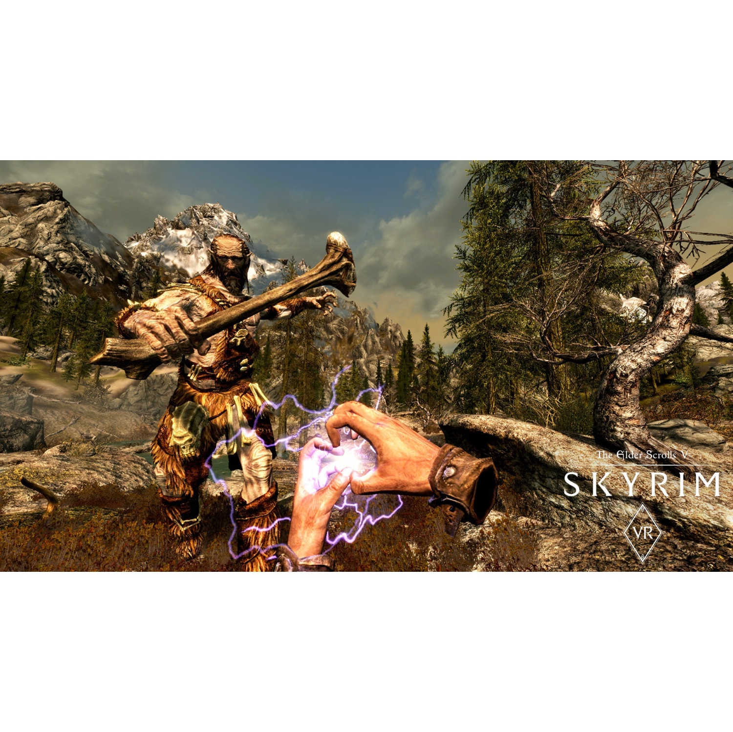 Le jeu The Elder Scrolls V: Skyrim VR - PSVR [PlayStation 4]