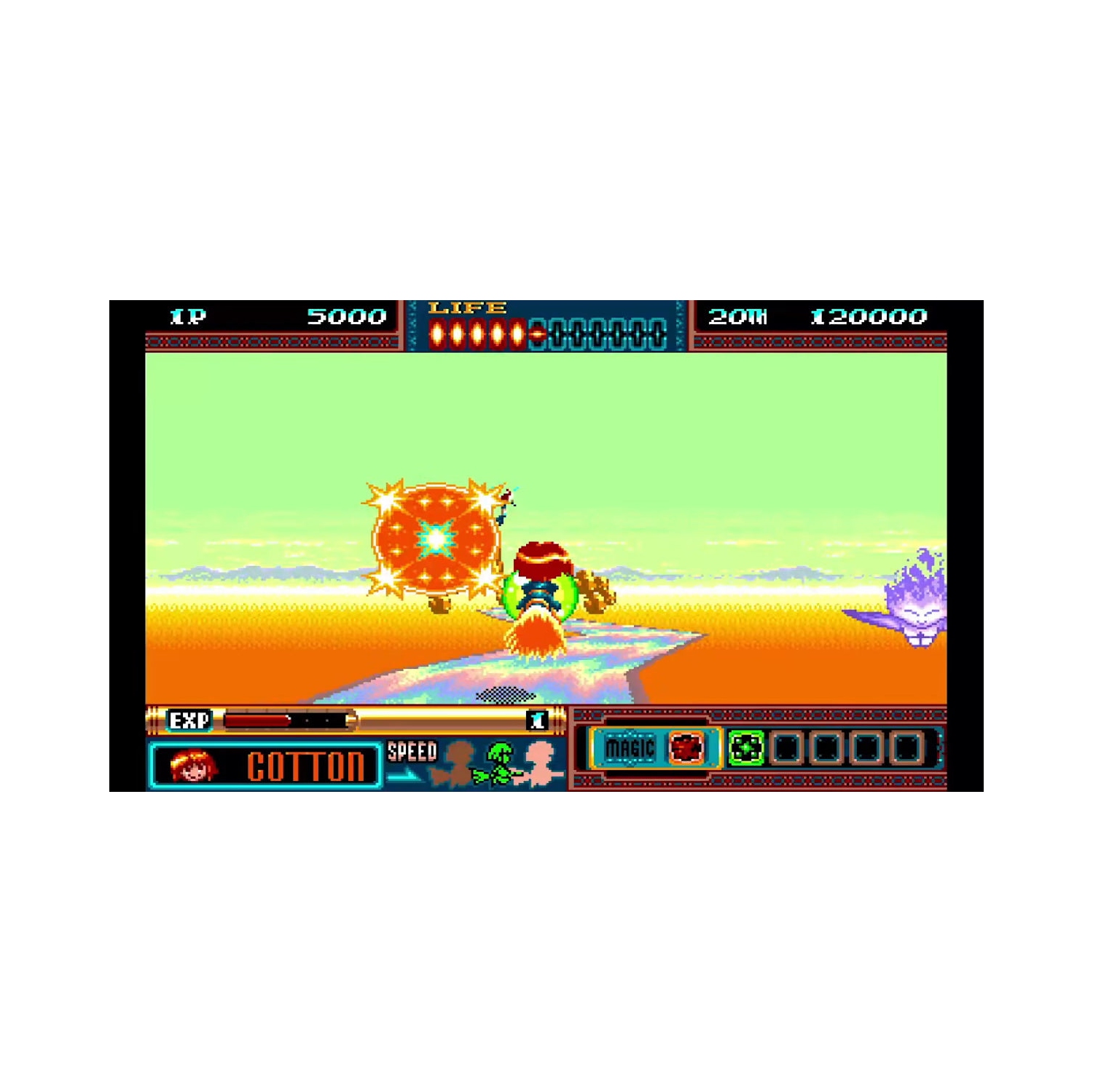 Panorama Cotton - Collector's Edition [Nintendo Switch]