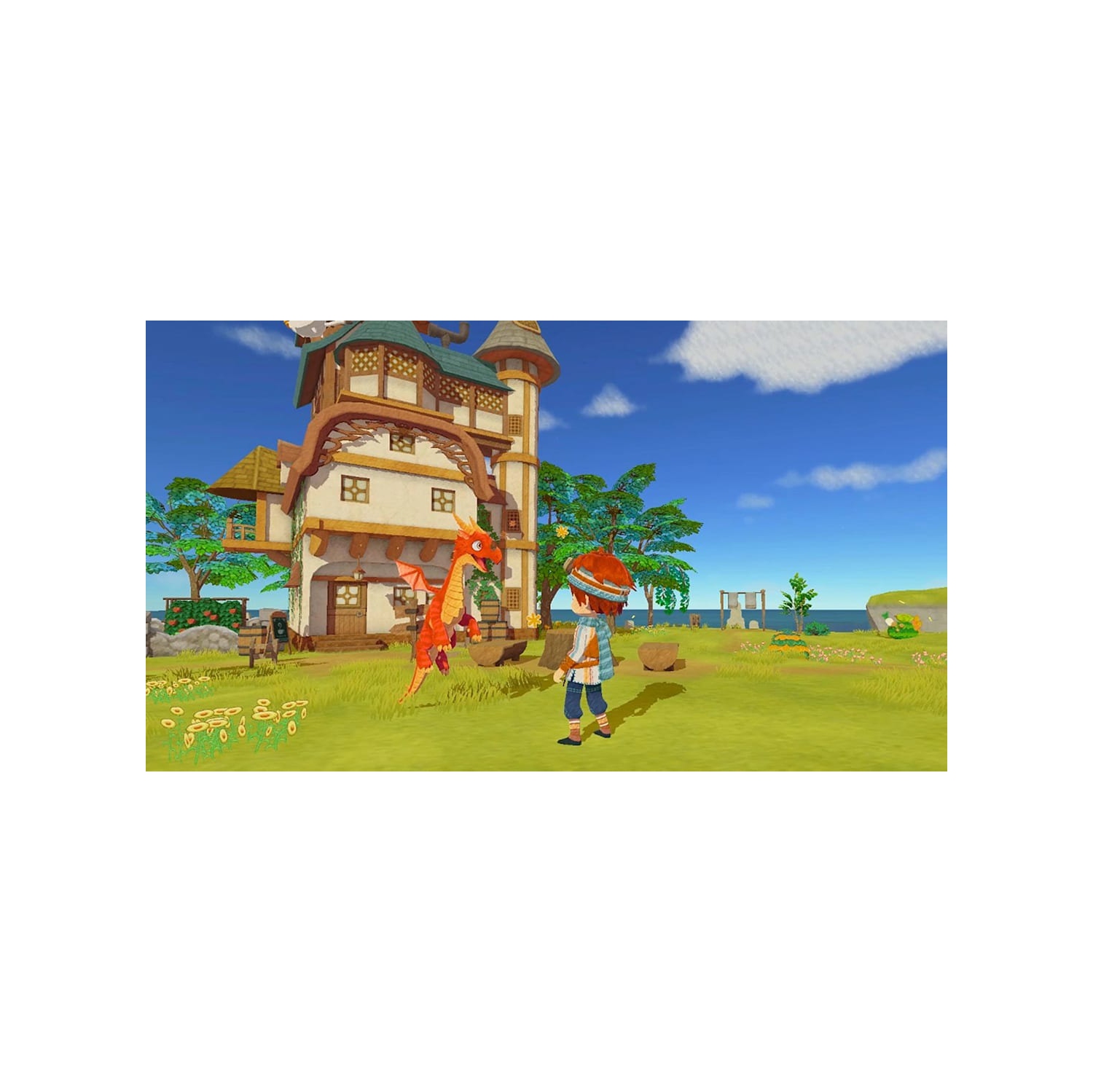 Le café des Little Dragons [PlayStation 4]