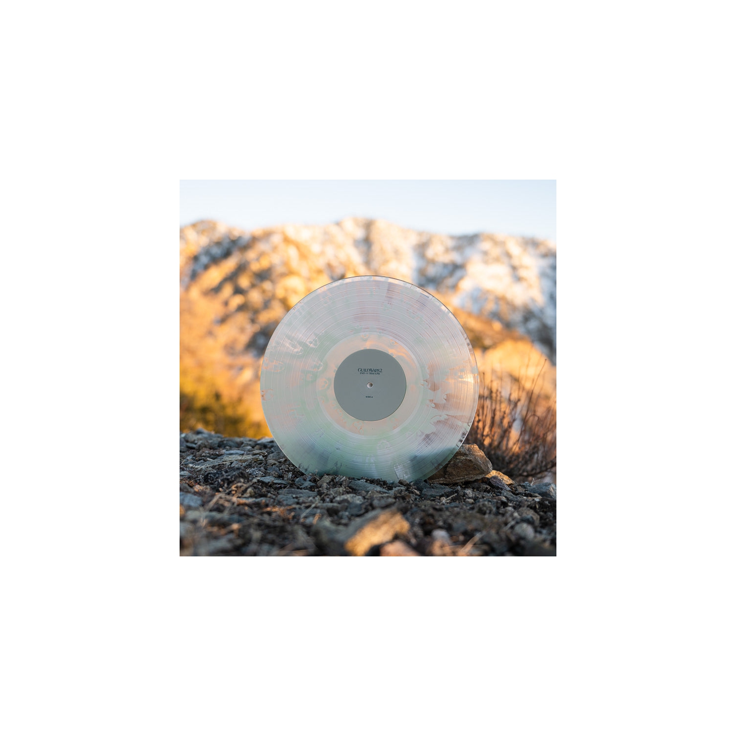 Guild Wars 2: End of Dragons Vinyl Soundtrack 2xLP [Audio Vinyl]