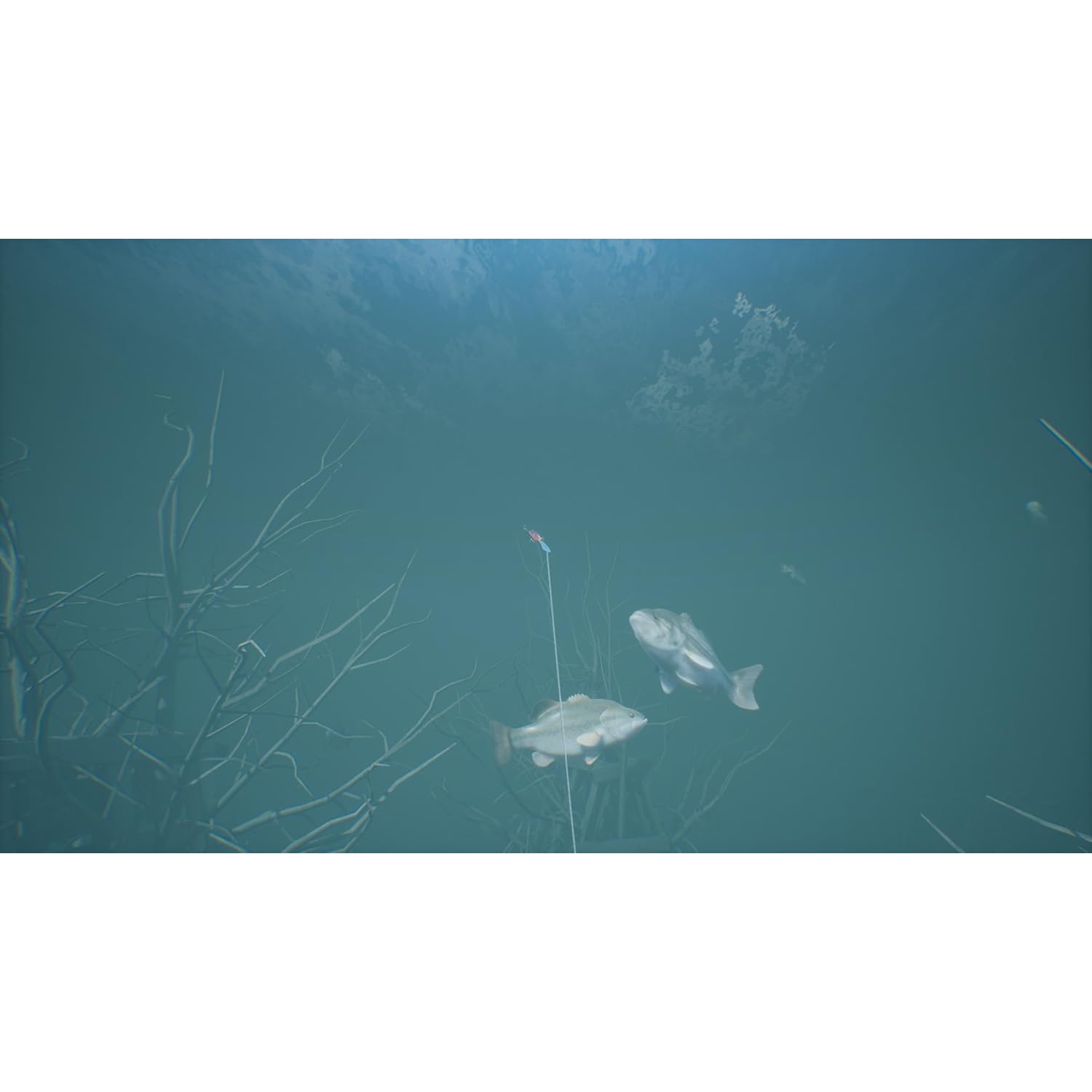 Bassmaster Fishing 2022 Deluxe Edition [PlayStation 4]