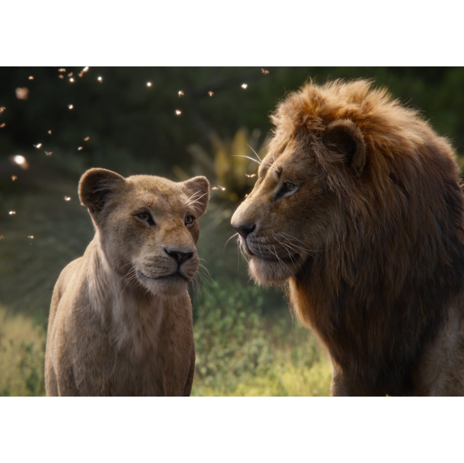 The Lion King: 2-Movie Collection - Disney Animation & Live-Action [Blu-Ray Doublepack]