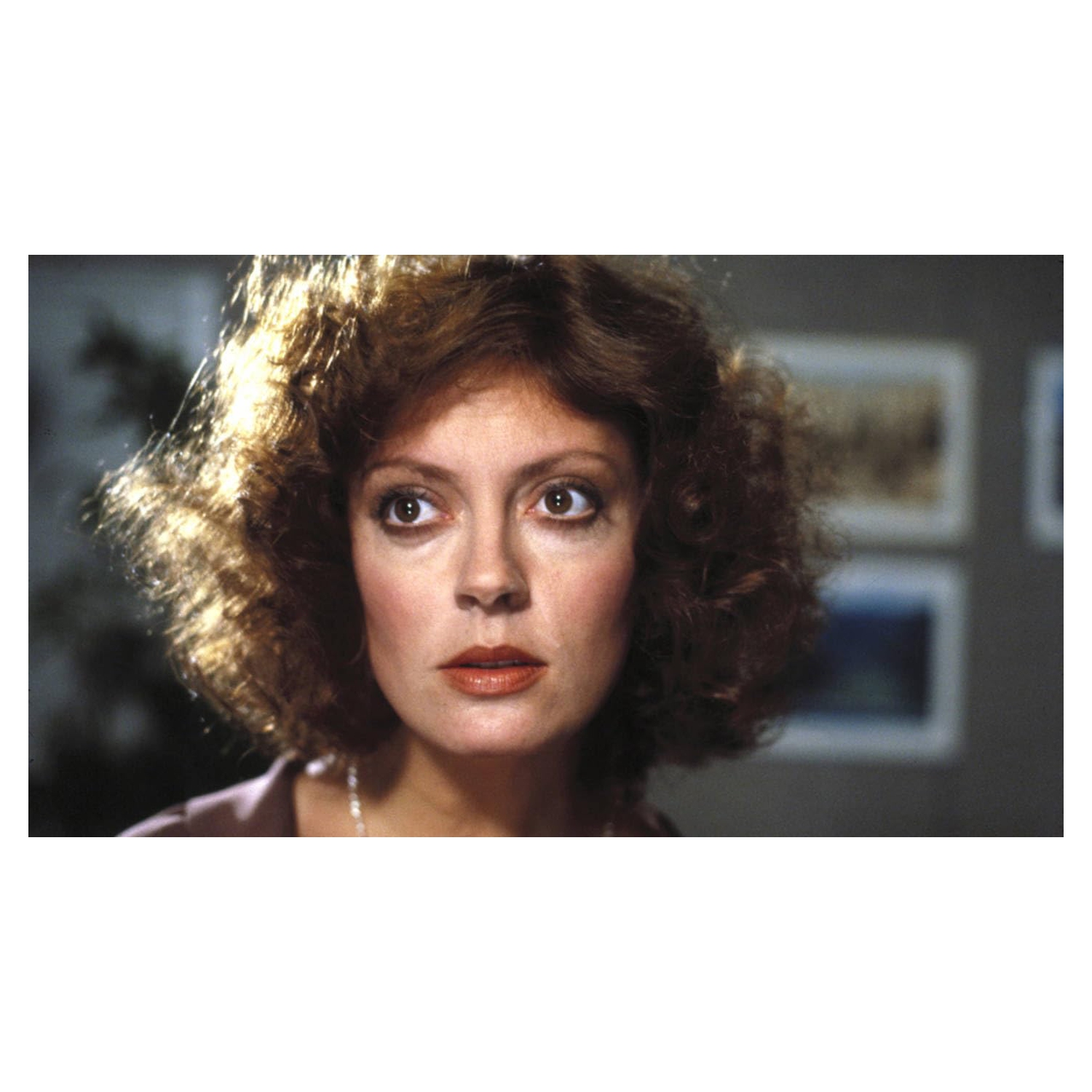 The Susan Sarandon Collection - 4 Pack [DVD]