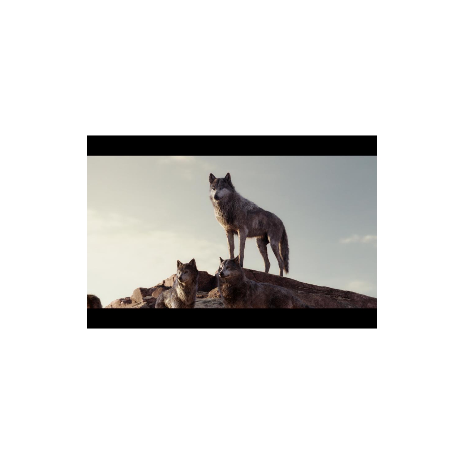 The Jungle Book [Blu-Ray]