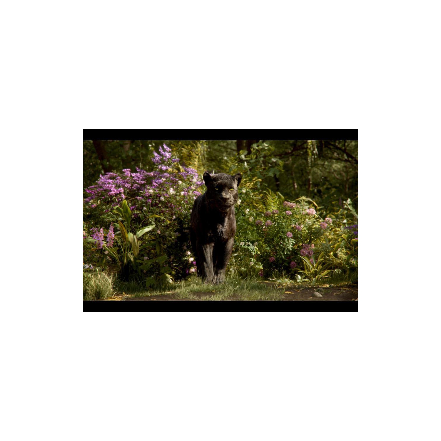 The Jungle Book [Blu-Ray]