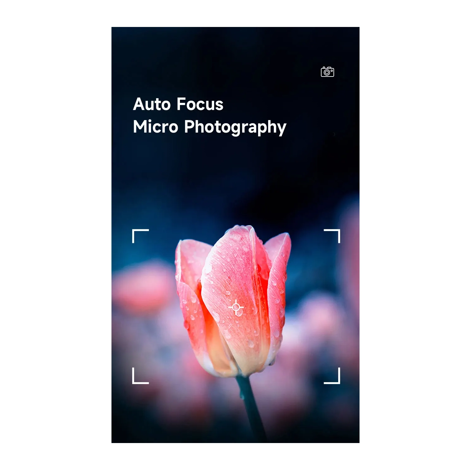 HD video photography digital camera home shooting selfie SLR camera micro single camera, suitable for outdoor travel shooting - black silver 4K