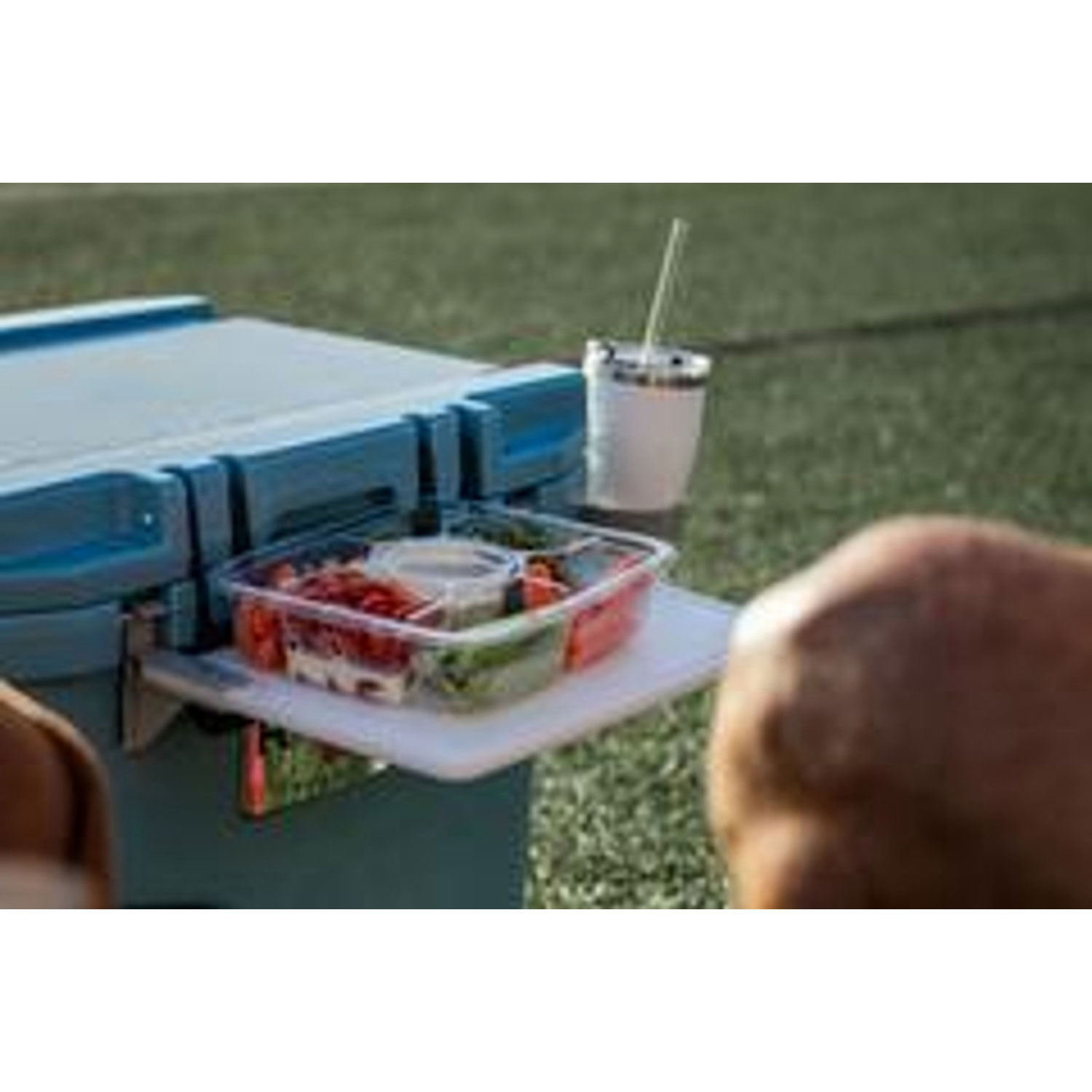 Glacière à parois rigides sur roues de 42,6 L RollR de RovR - Pacifique Sud