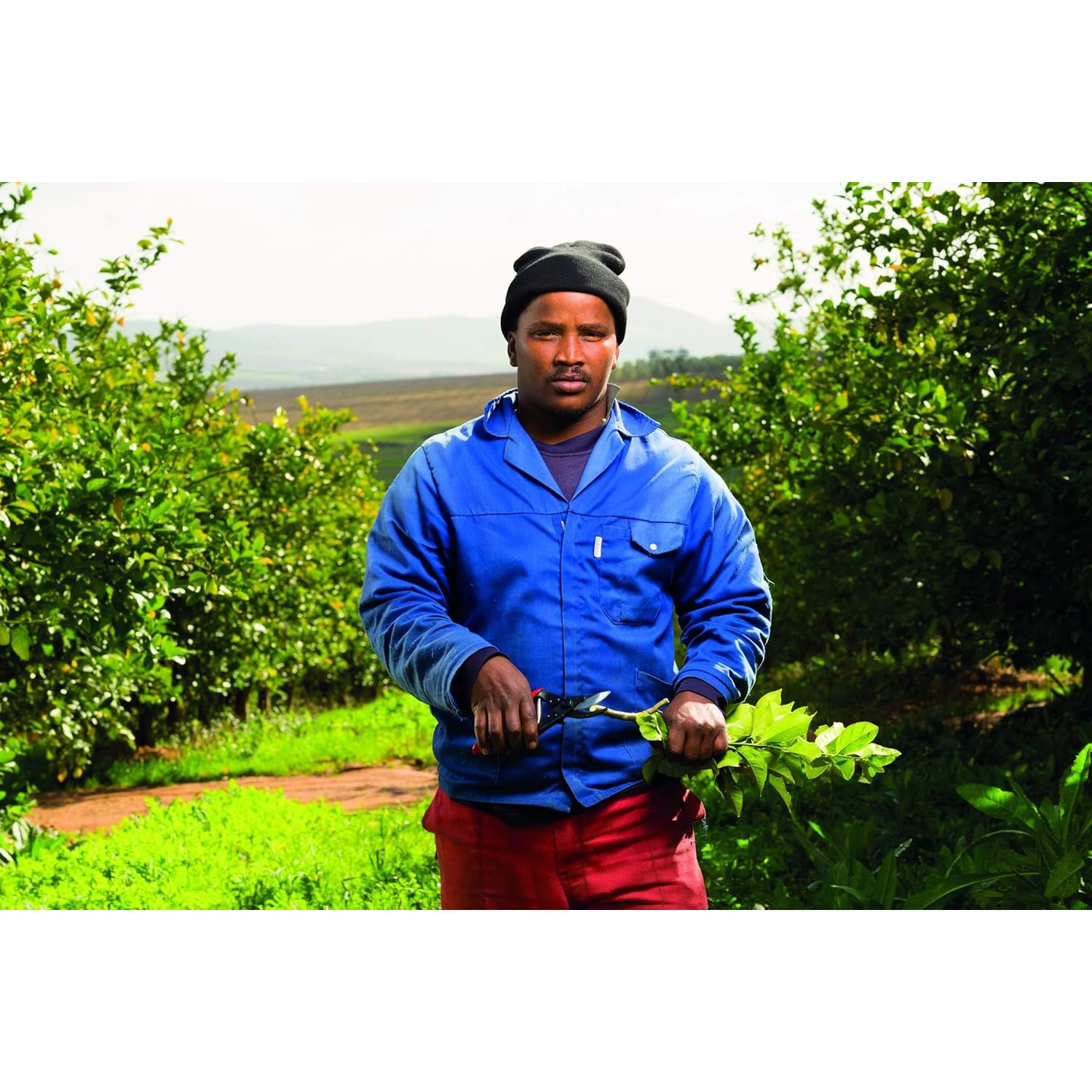 F-5 Classic Manual Pruning Shears