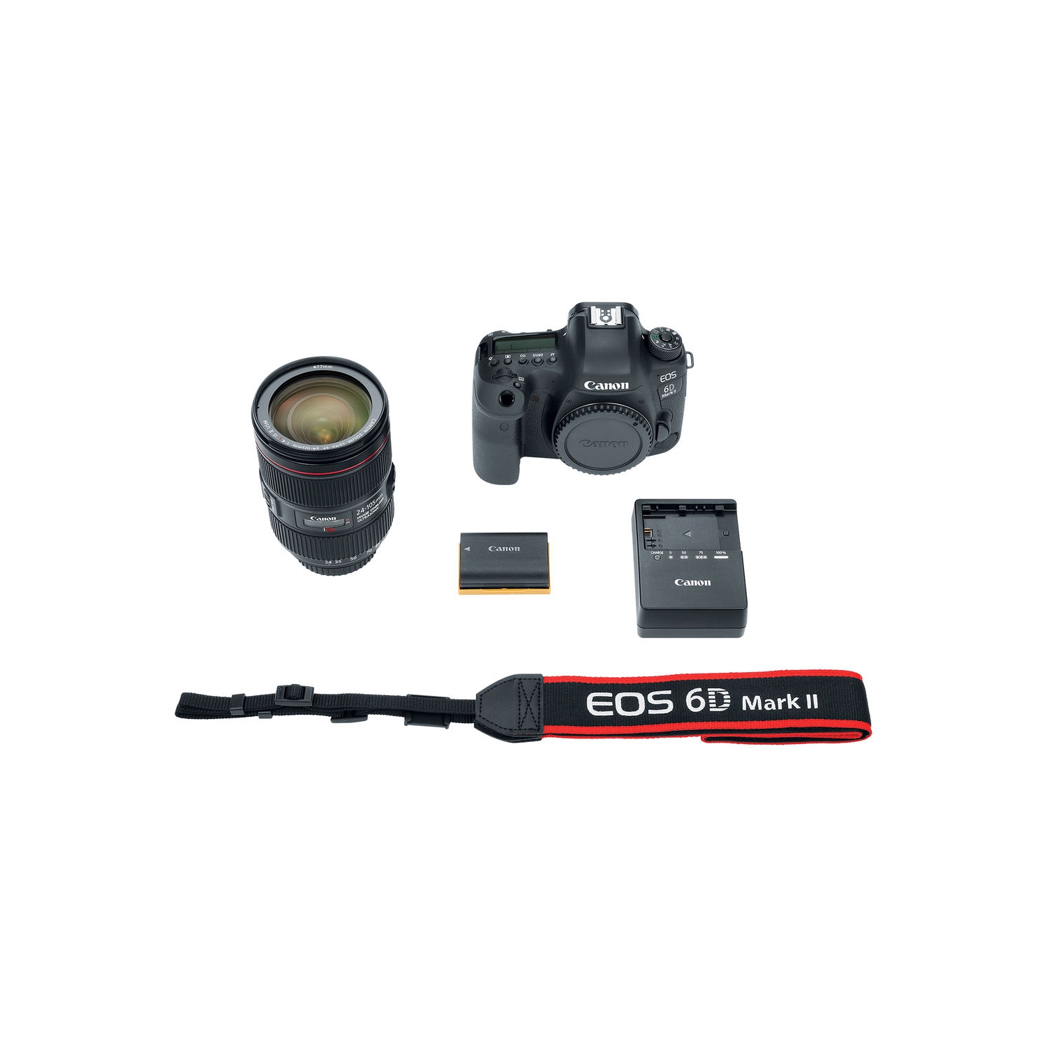 Canon EOS 6D Mark II Camera with 24-105mm f/4L II Lens Travel Vlogger Bundle