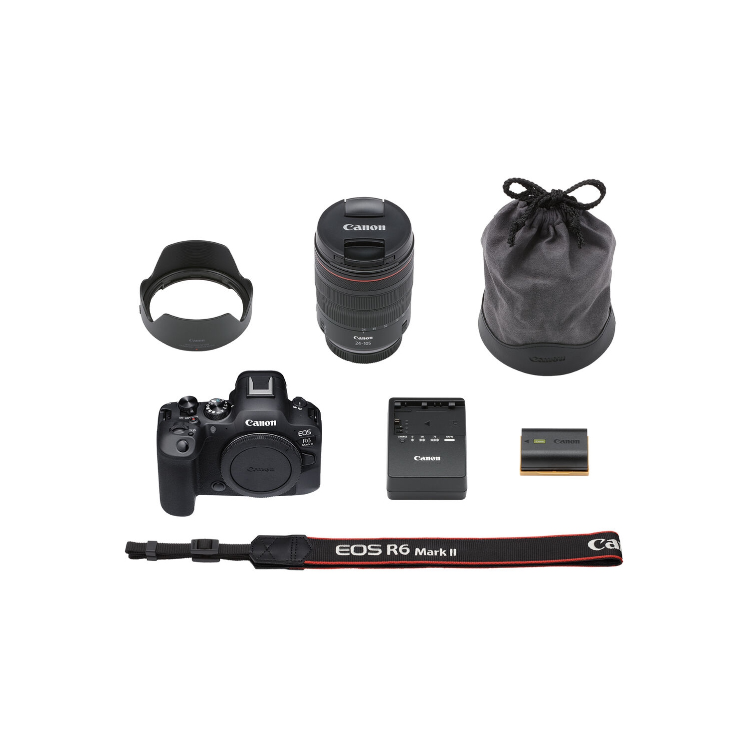 Canon EOS R6 Mark II Mirrorless Camera with 24-105mm f/4 Lens 5666C011 - Pro Bundle