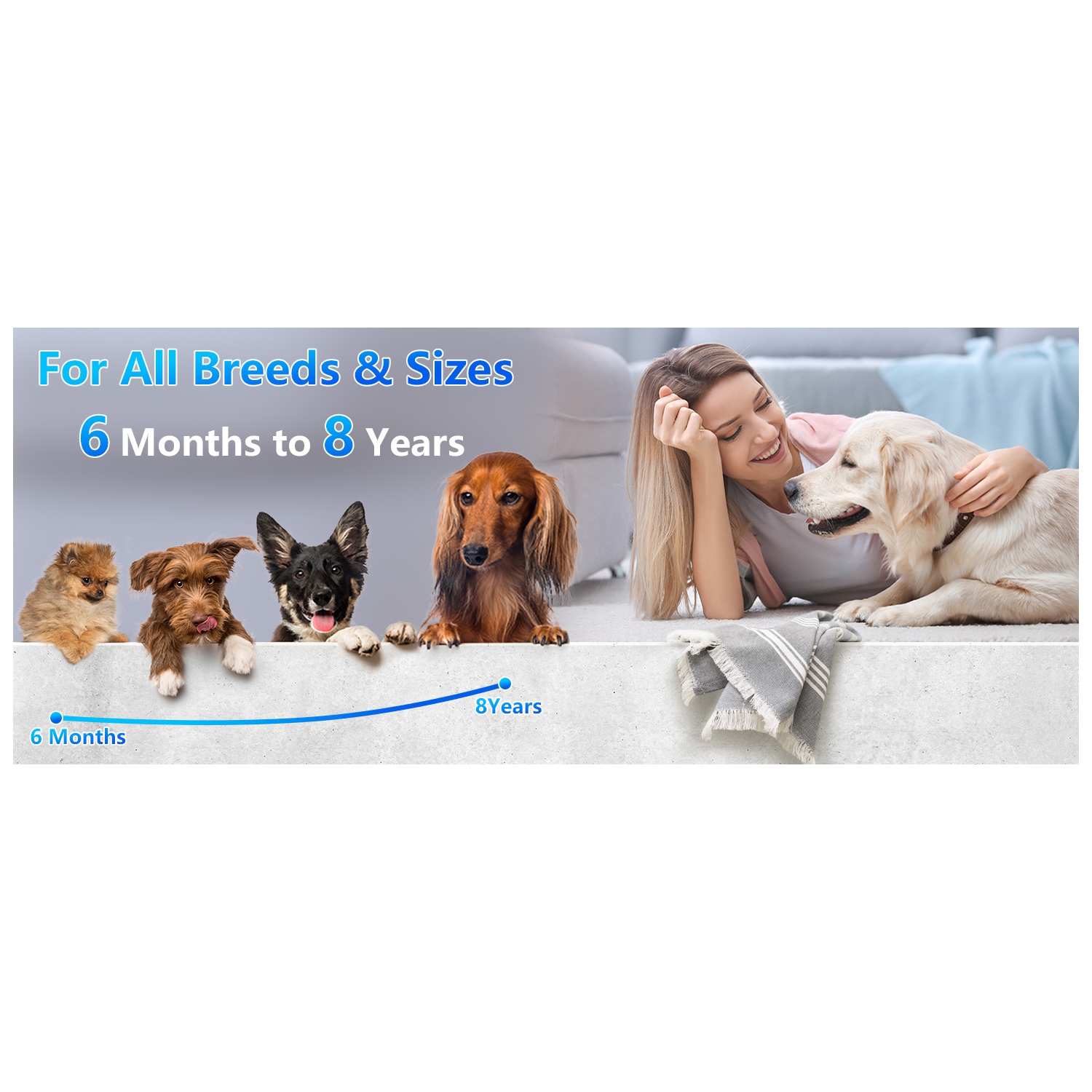 Nouveau produit Appareil de dressage à ultrasons portatif quatre têtes pour chien anti-aboiement Arrêt de sécurité écorchure Interrupteur à deux