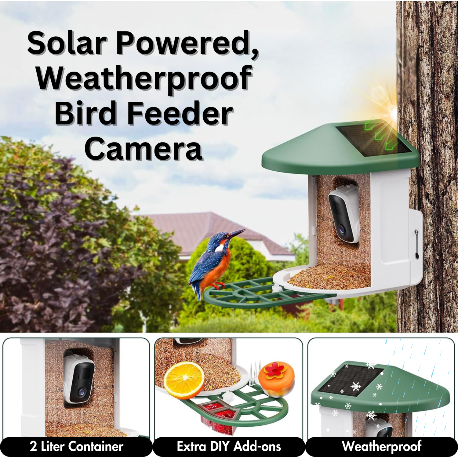 PawFurEver AI Bird Smart Feeder: Your Gateway to Birdwatching Bliss