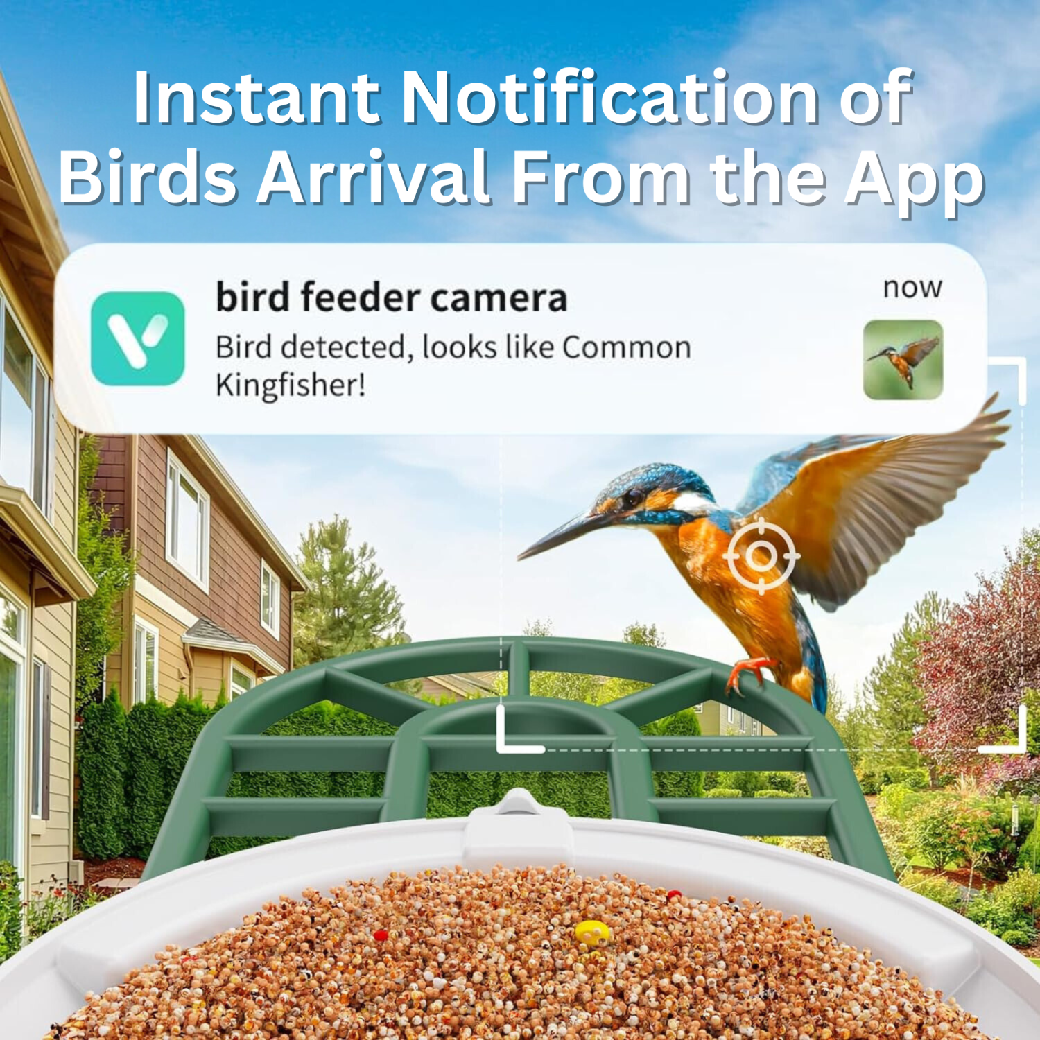 PawFurEver AI Bird Smart Feeder: Your Gateway to Birdwatching Bliss