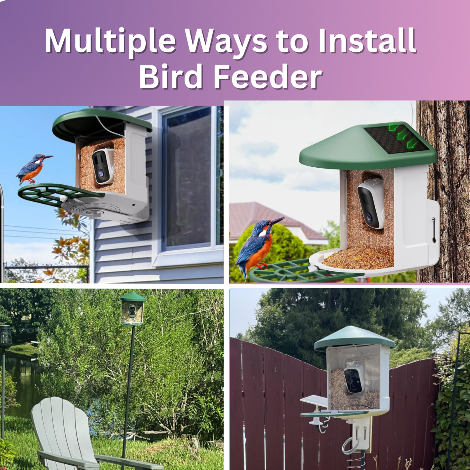 PawFurEver AI Bird Smart Feeder: Your Gateway to Birdwatching Bliss