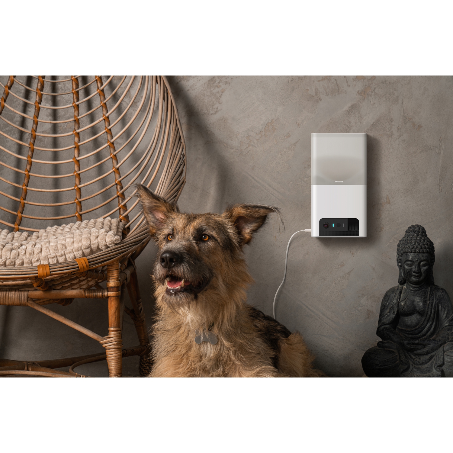 Petcube Bites 2 Lite Interactive Wi-Fi Pet Monitoring Camera with Phone App and Treat Dispenser
