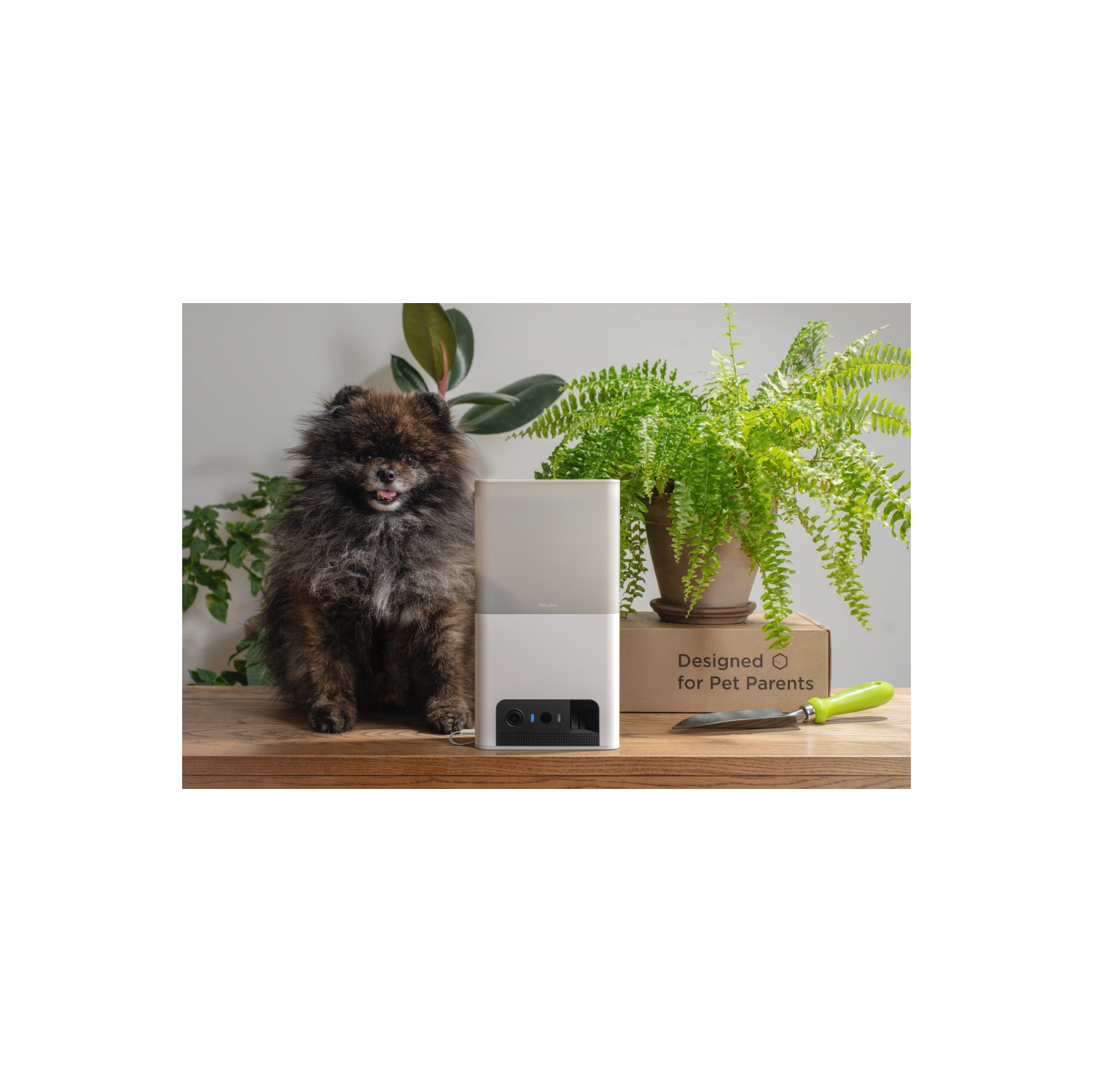 Petcube Bites 2 Lite Interactive Wi-Fi Pet Monitoring Camera with Phone App and Treat Dispenser