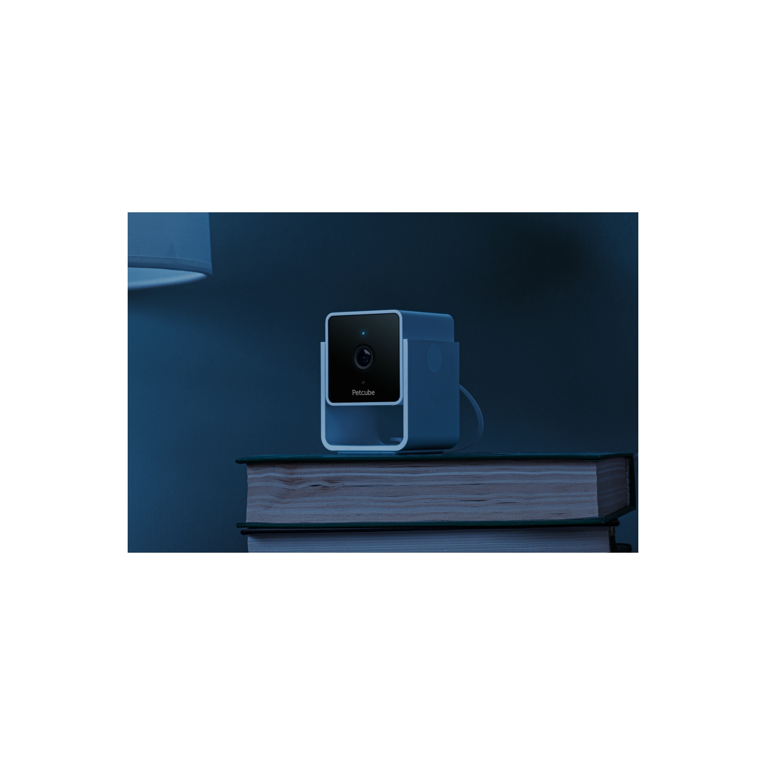 Caméra d'intérieur Wi-Fi pour animal de compagnie Petcube Cam avec application pour téléphone