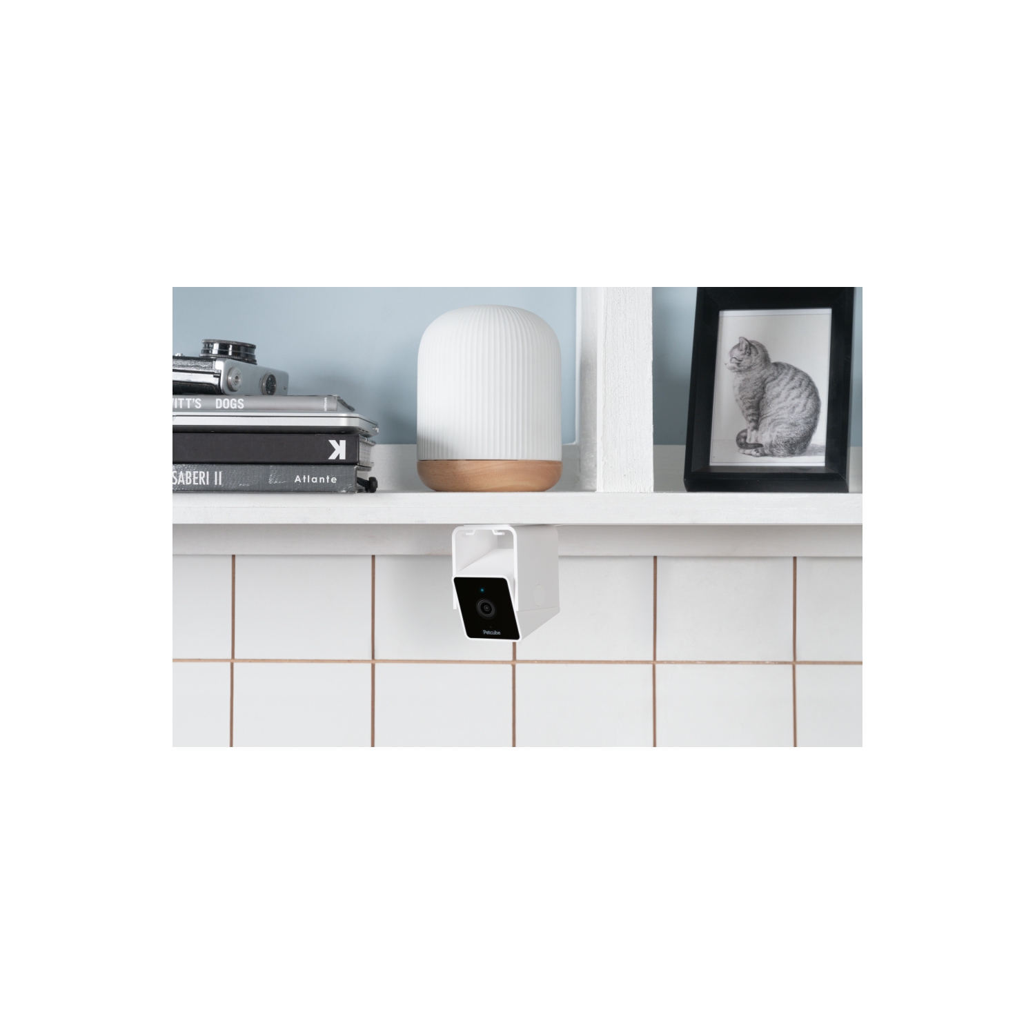 Caméra d'intérieur Wi-Fi pour animal de compagnie Petcube Cam avec application pour téléphone