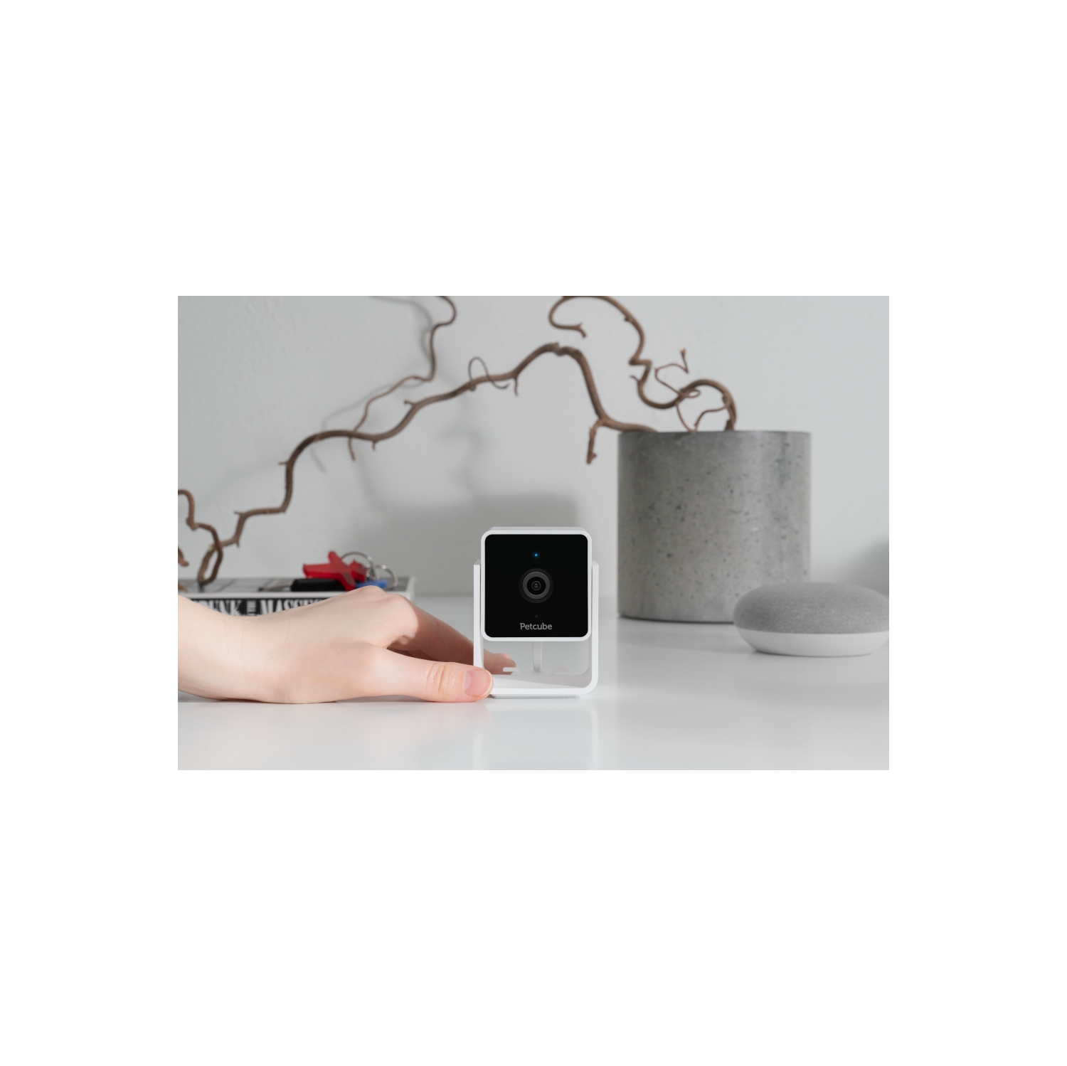 Caméra d'intérieur Wi-Fi pour animal de compagnie Petcube Cam avec application pour téléphone