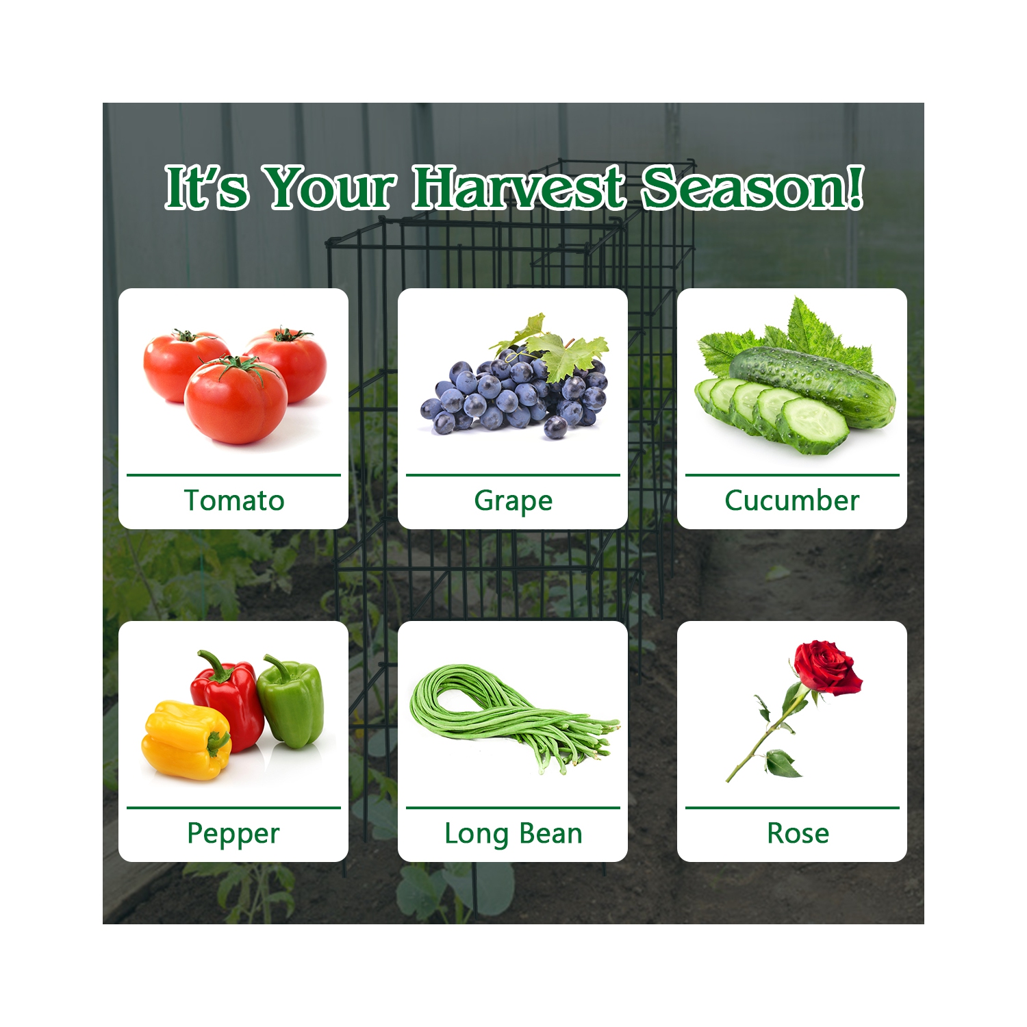 Gymax 8 Pack Tomato Cages Garden Cages Stakes Plant Trellis 16'' x 16'' x 39''