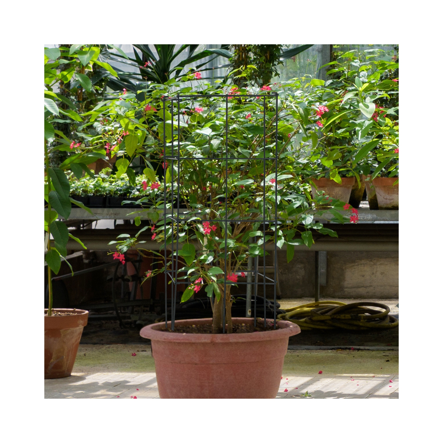 Gymax 8 Pack Tomato Cages Garden Cages Stakes Plant Trellis 16'' x 16'' x 39''