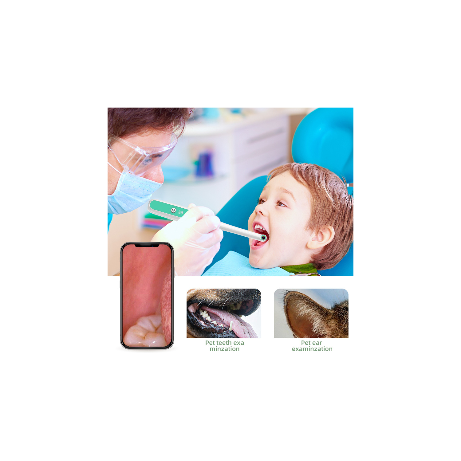 Caméra de contrôle de la bouche visuelle Wi-Fi Caméra d'examen de la bouche Compatible avec Android et iPhone, pour les individus et les animaux de