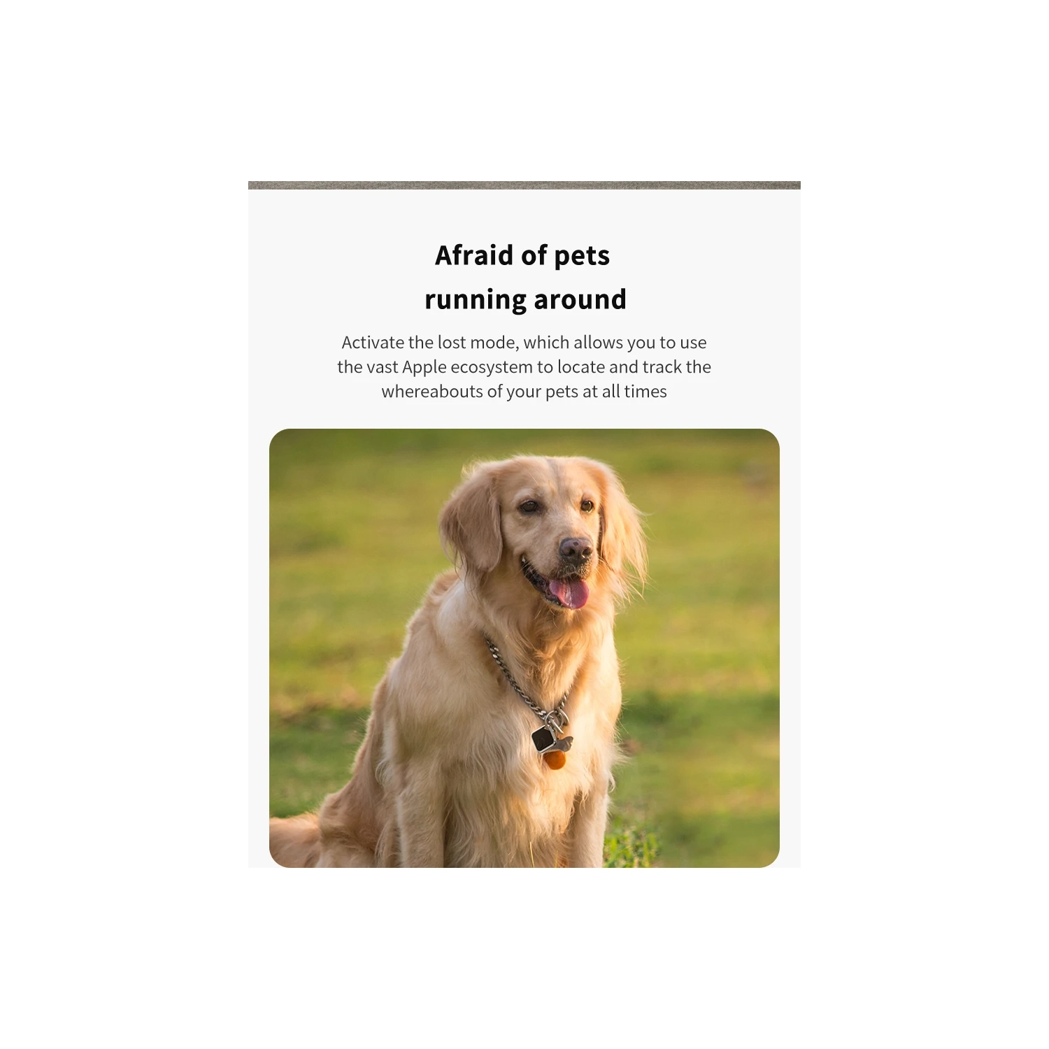 Dispositif anti-perte intelligent AirTag, localisateur mondial d'artéfacts, détecteur d'animaux, plateforme Apple iOS - Noir