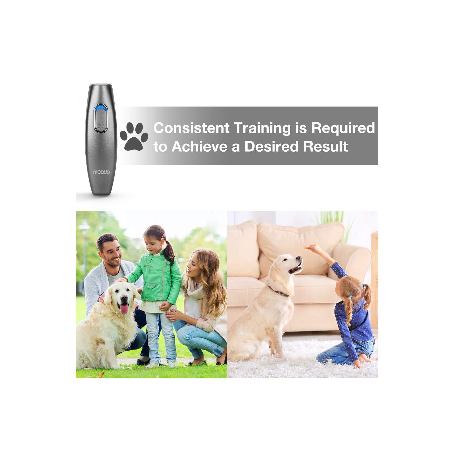 Specially designed for handheld ultrasonic trainer pet trainer dog trainer hot selling product mini barking stop trainer 2 in 1 - silver