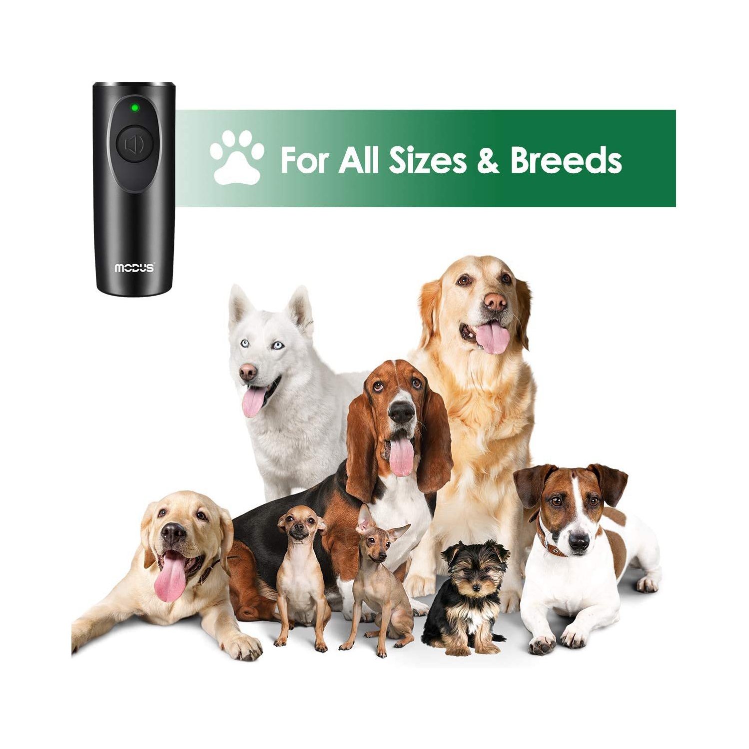 Appareil d'entraînement à ultrasons portatif pour chien avec dresseur à chien, anti-aboiement à ultrasons pour chien, indicateur LED d'entraînement