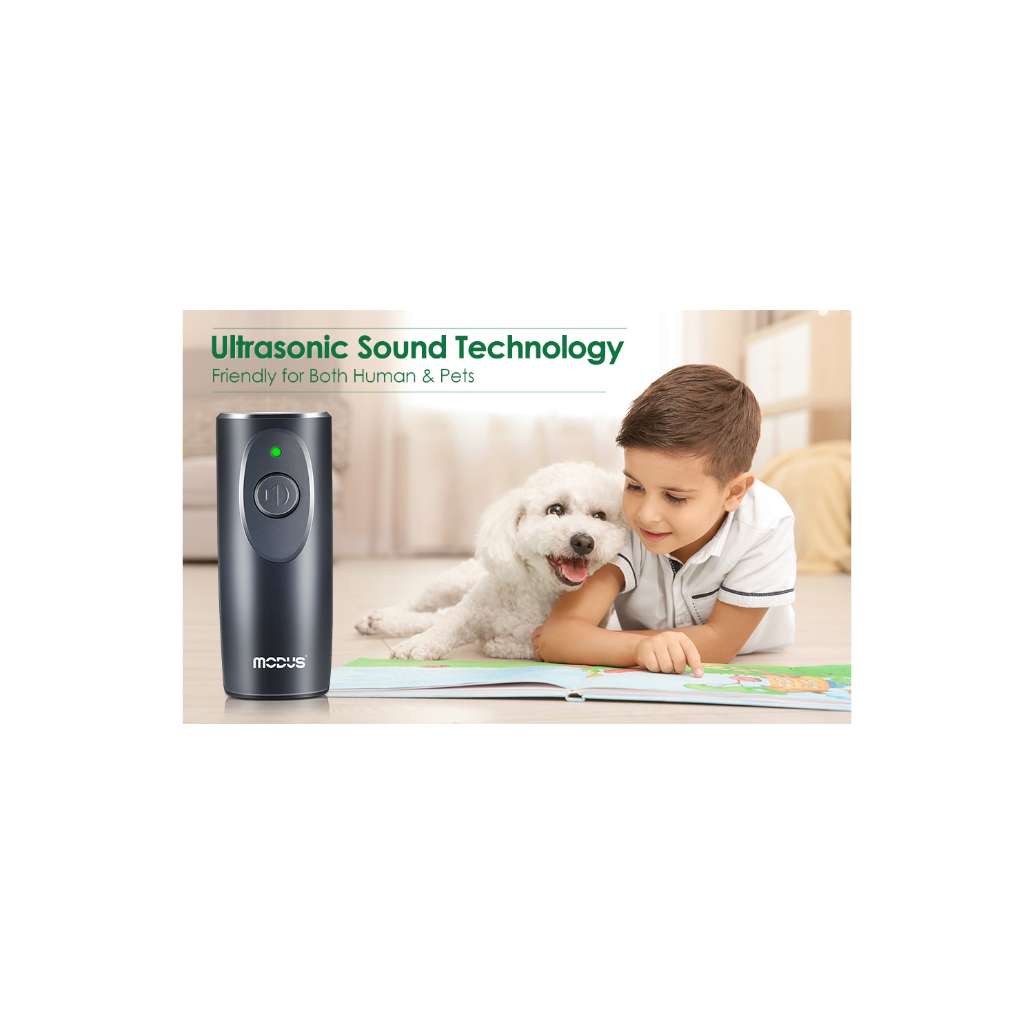 Appareil d'entraînement à ultrasons portatif pour chien avec dresseur à chien, anti-aboiement à ultrasons pour chien, indicateur LED d'entraînement