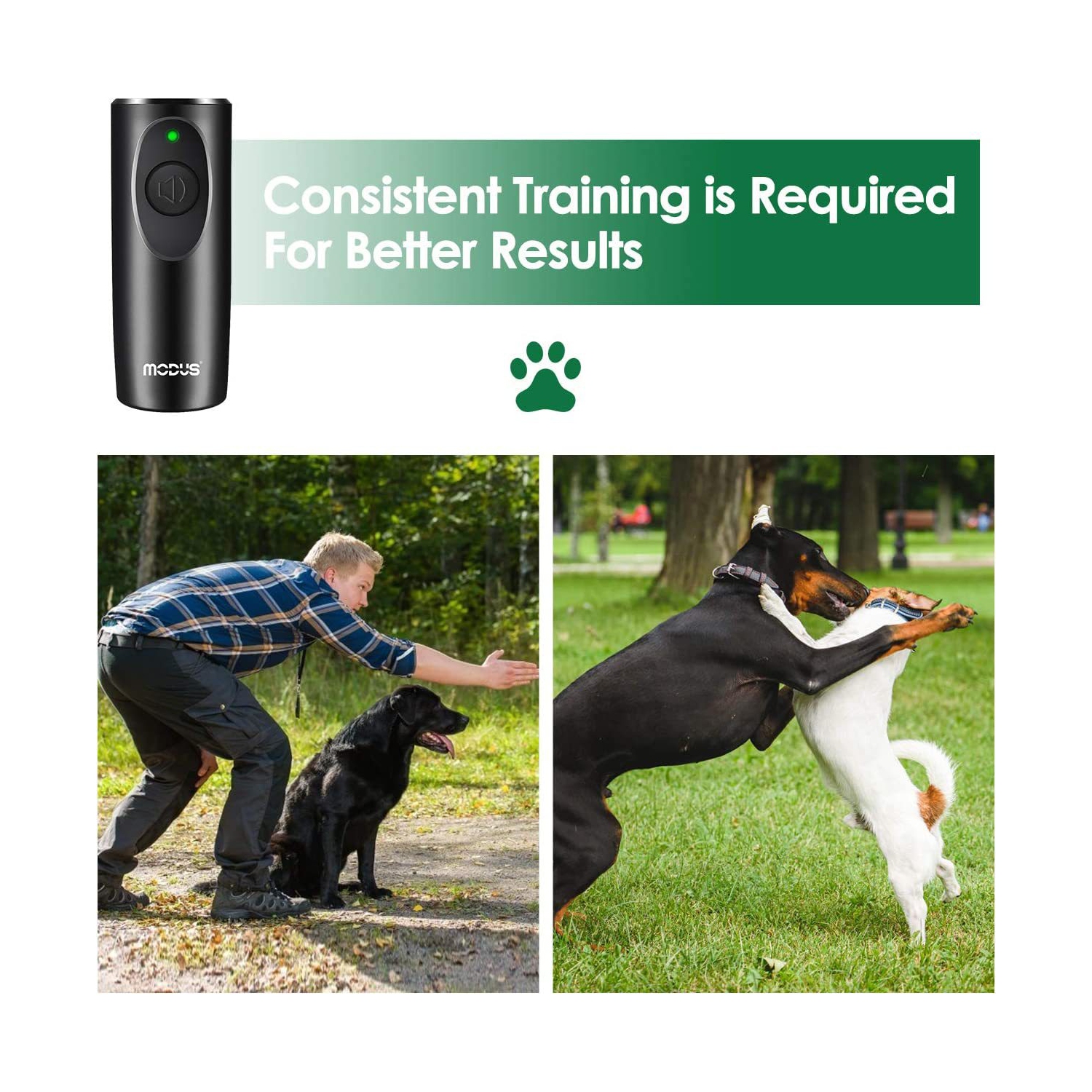 Appareil d'entraînement à ultrasons portatif pour chien avec dresseur à chien, anti-aboiement à ultrasons pour chien, indicateur LED d'entraînement