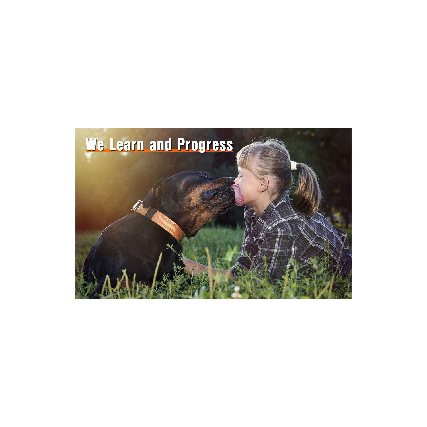 Dual-head ultrasonic bark stopper, portable dog training device, pet dog bark stopper, supports night lighting - HD LCD display black