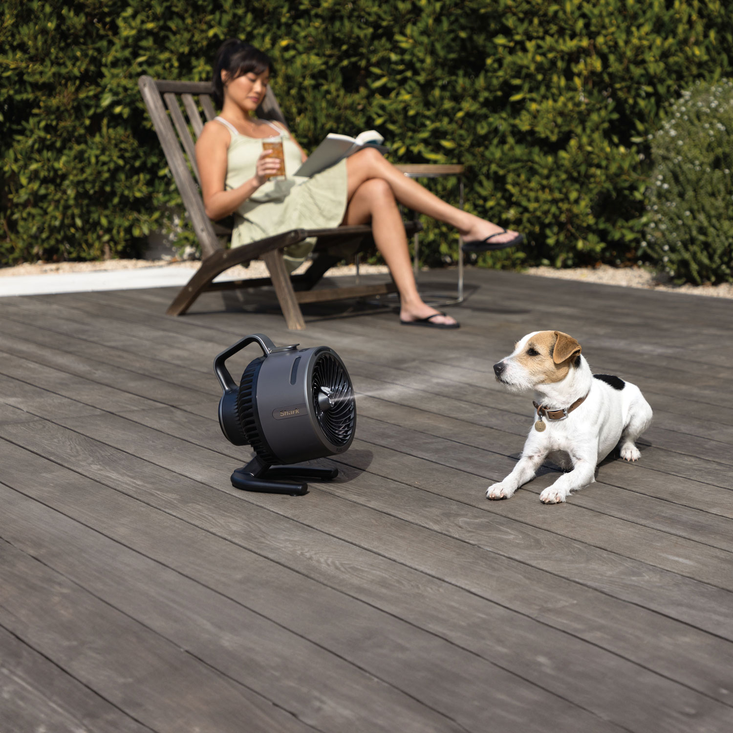 Ventilateur de table portatif à bruine FlexBreeze HydroGo de Shark - 9 po - Gris foncé