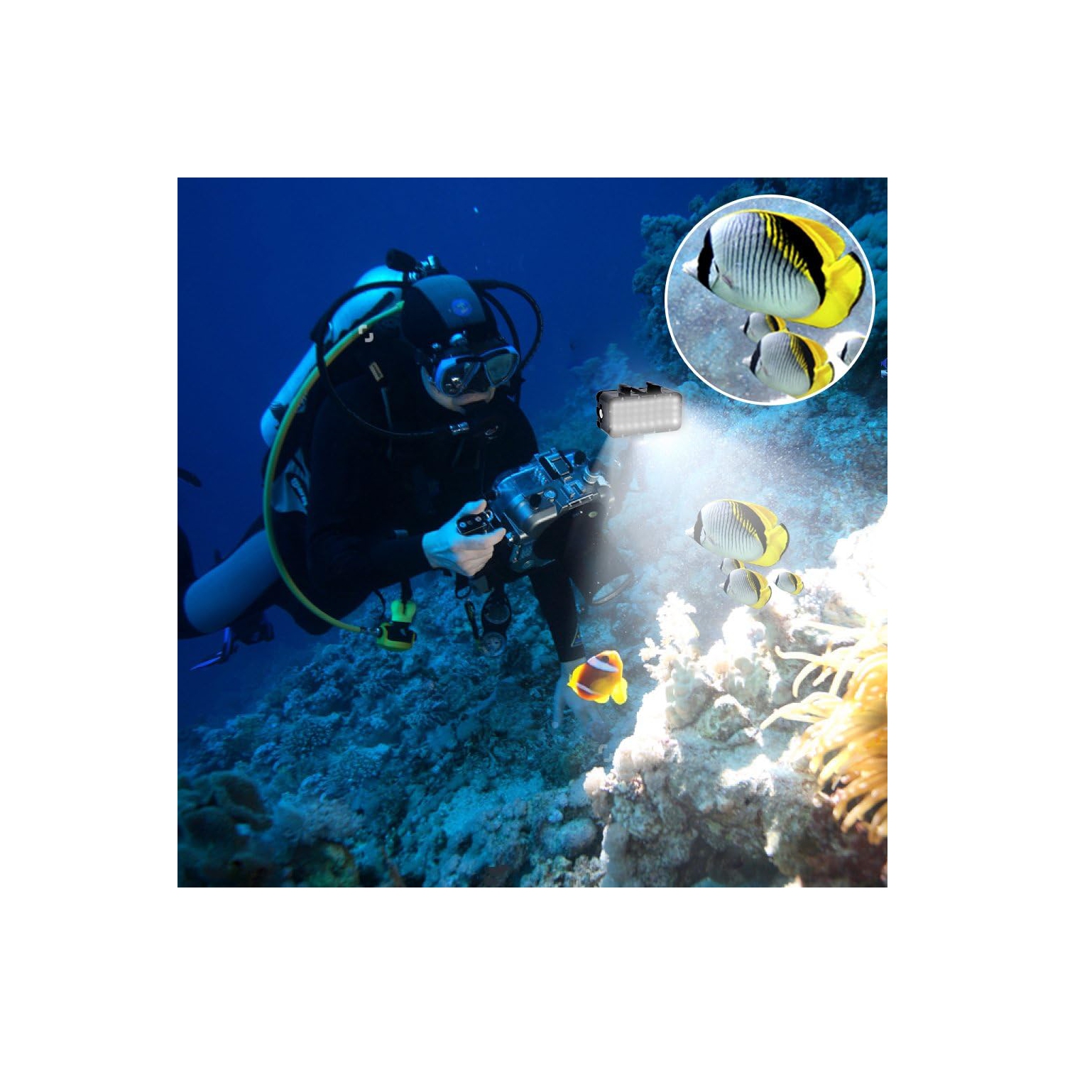 YOULIGHTS Diving Light High Power Dimmable Waterproof LED Video Light Fill Night Light Diving Underwater Light Waterproof 147ft