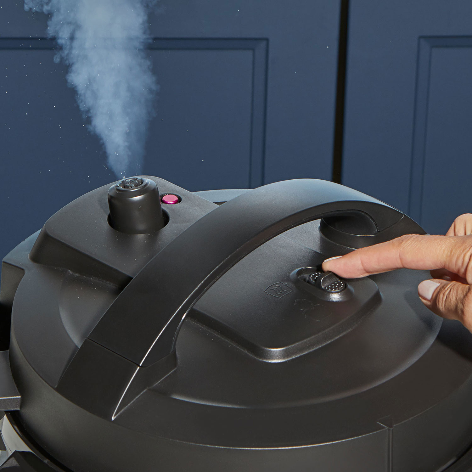 Instant Pot Rio Mini Multi-Cooker - 4QT