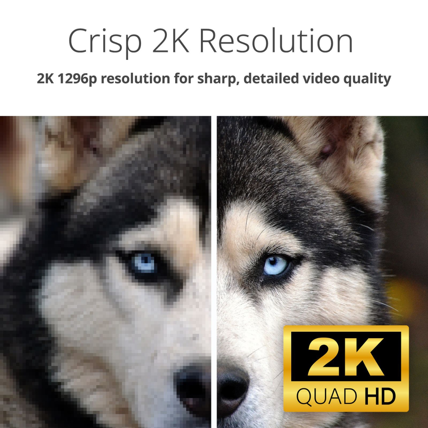 6 caméras Wi-Fi 2K panoramique et inclinable à 360 degrés DCS-6501LH de D-Link Résolution HD intégrale 1296p.