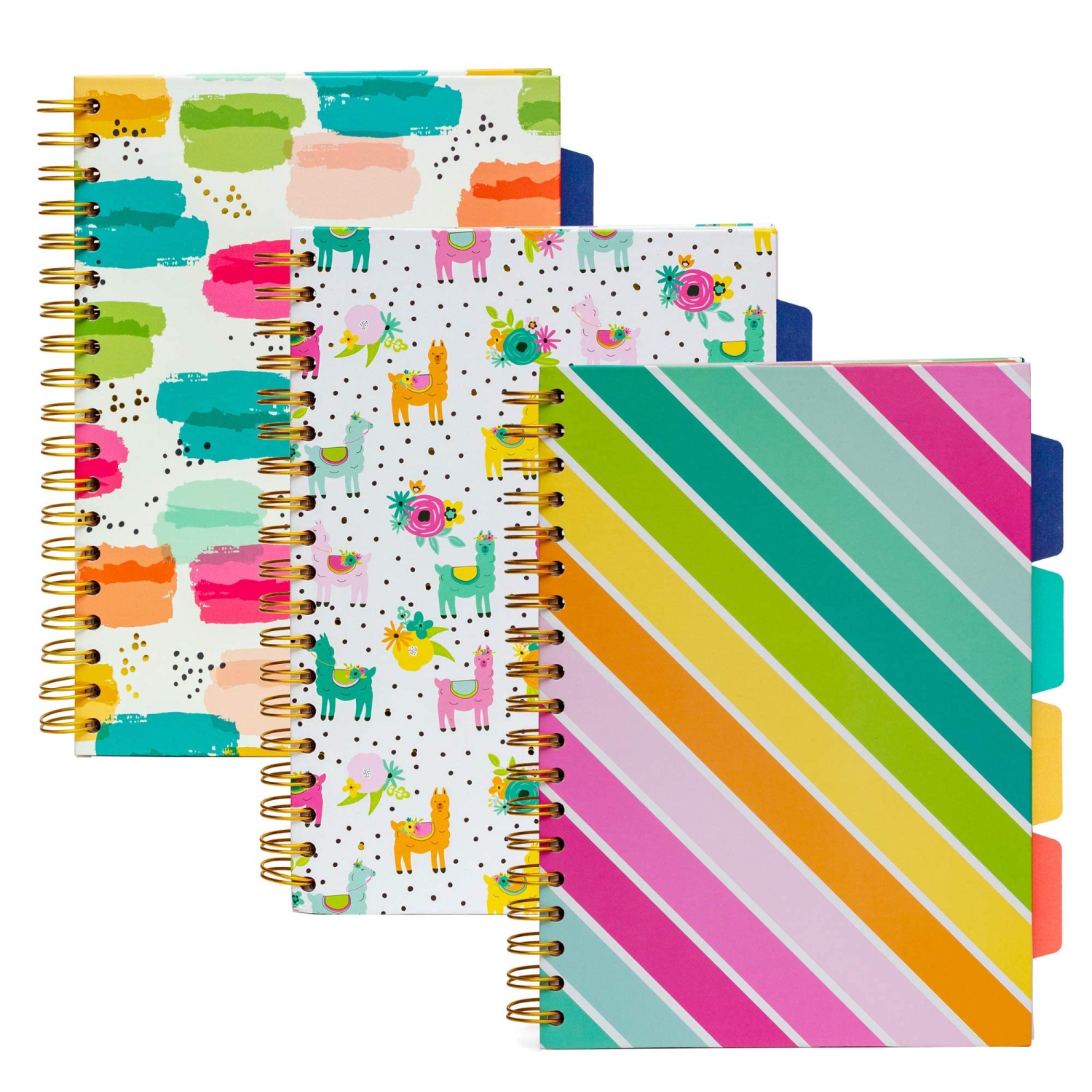 Pukka Pad, Carpe Diem 5, Sujet, Spirale, Onglets, Cahier séparateur, 3, paquet de 7 x 10&nbsp;po 100 feuilles, multicolore
