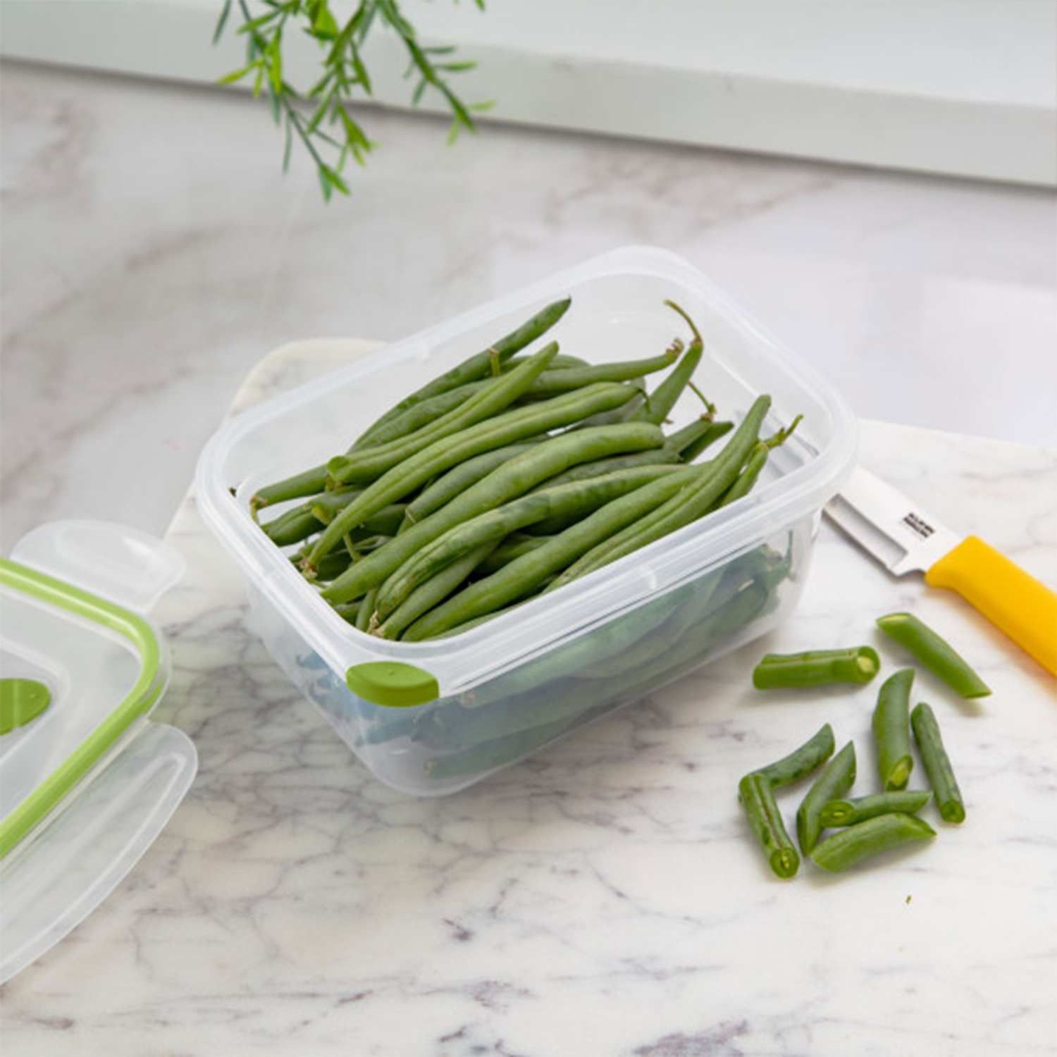 Sterilite 4.5 Cup Rectangle Ultra-Seal Food Storage Container, Green