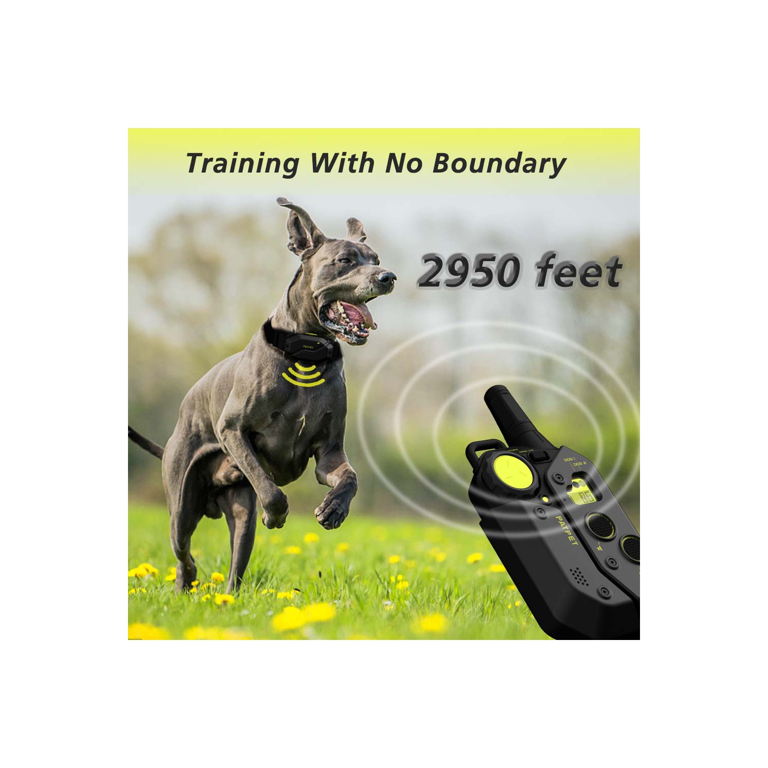 PATPET Dog Training collar, 3000 ft Range 16 Training Levels Dog Shock Collar with Remote Control(15-150lbs) Waterproof 100% Safe E Collar for Large