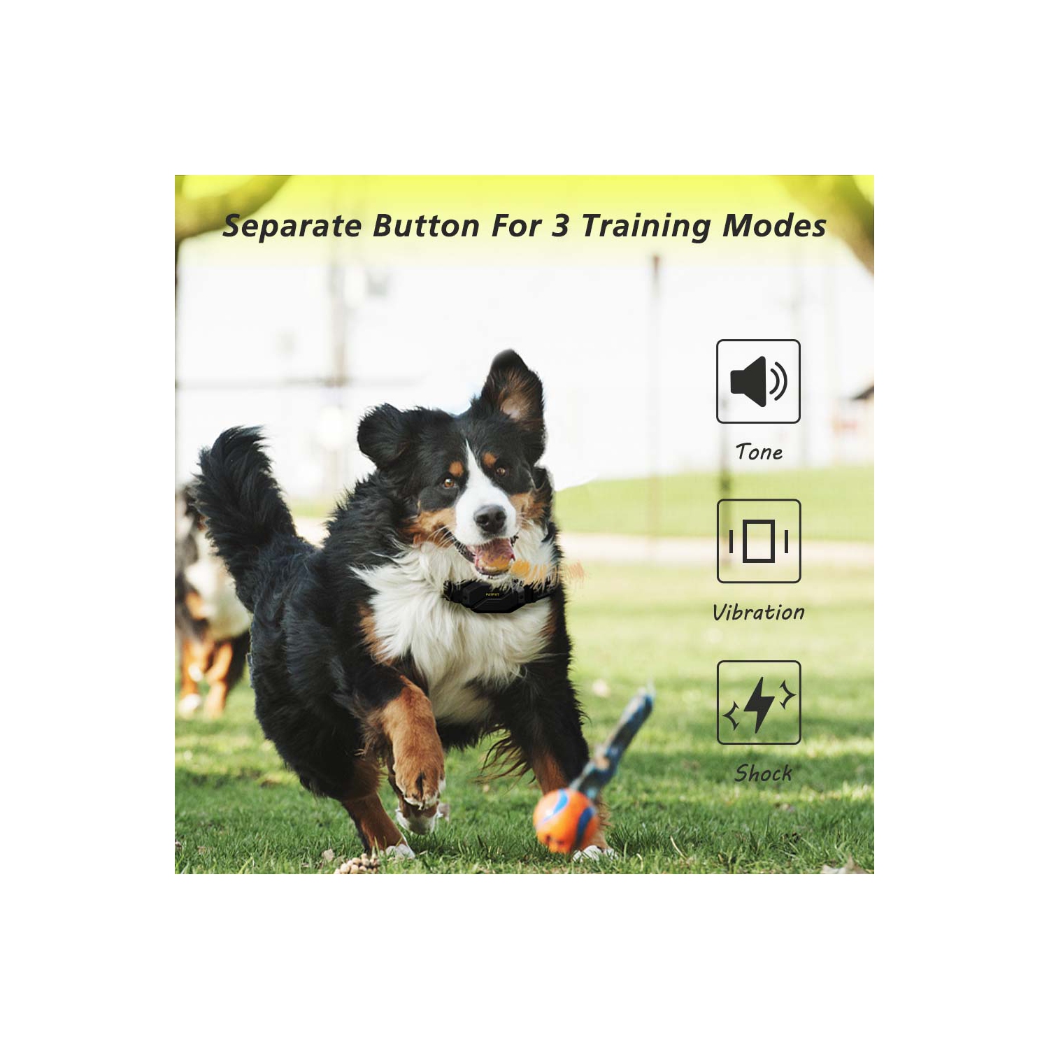 PATPET Dog Training collar, 3000 ft Range 16 Training Levels Dog Shock Collar with Remote Control(15-150lbs) Waterproof 100% Safe E Collar for Large