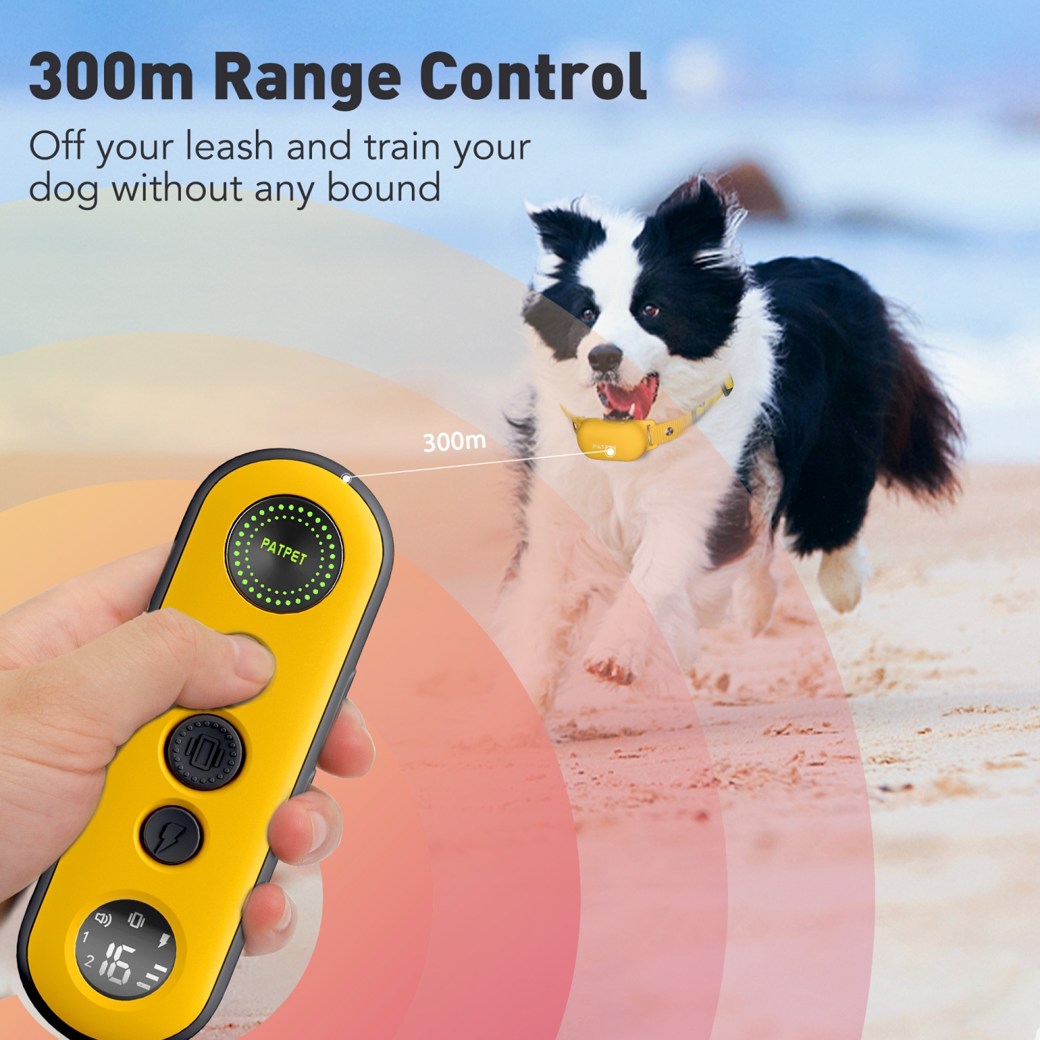 PATPET Dog Training Collar withRemote - Electric Dog Shock Collar forSmall Medium Large Dogs -3Adjustable Safe Modes, Rechargeable Waterproof E
