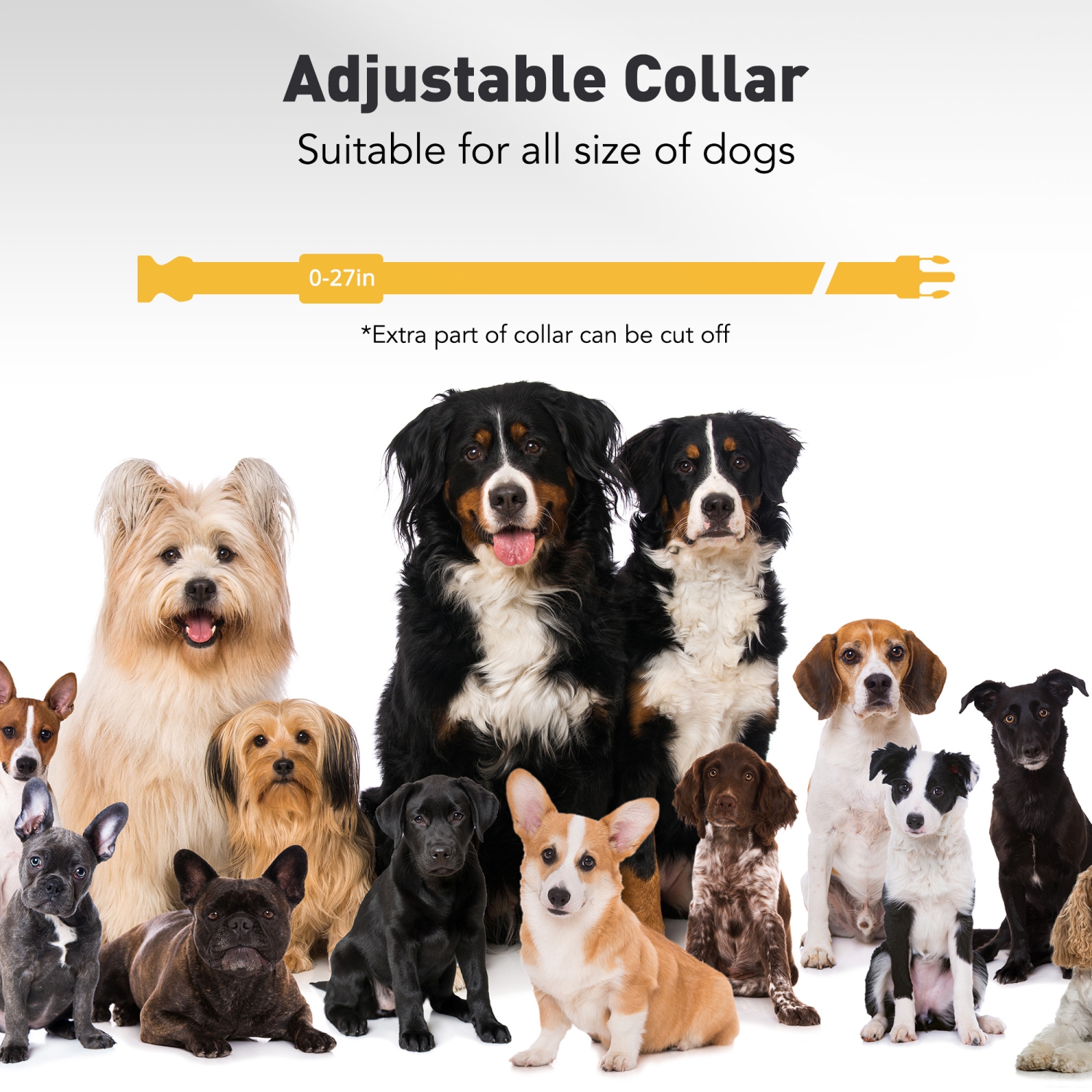 PATPET Dog Training Collar withRemote - Electric Dog Shock Collar forSmall Medium Large Dogs -3Adjustable Safe Modes, Rechargeable Waterproof E