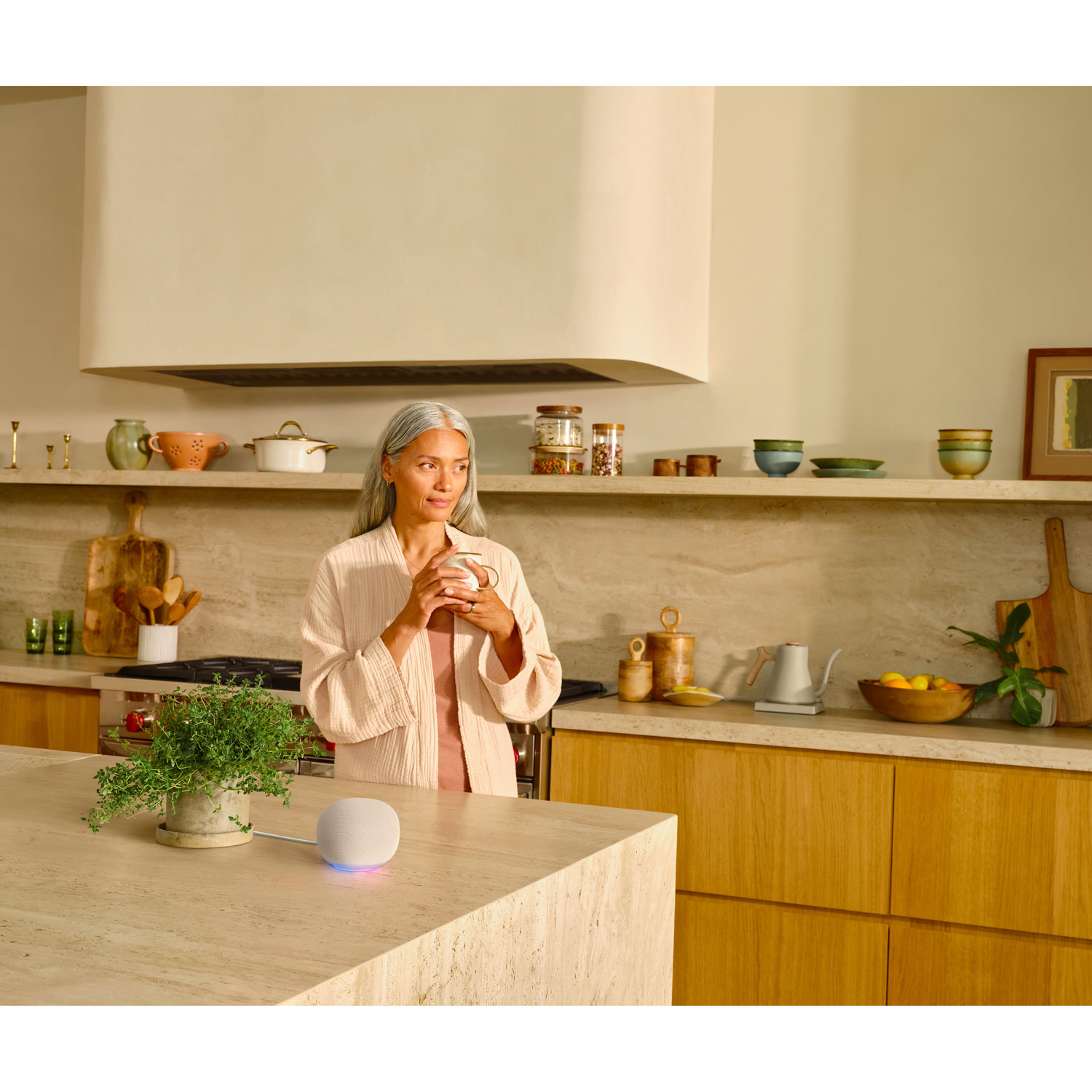 Haut-parleur intelligent Google Home avec Assistant Google - Porcelaine - Printemps 2026