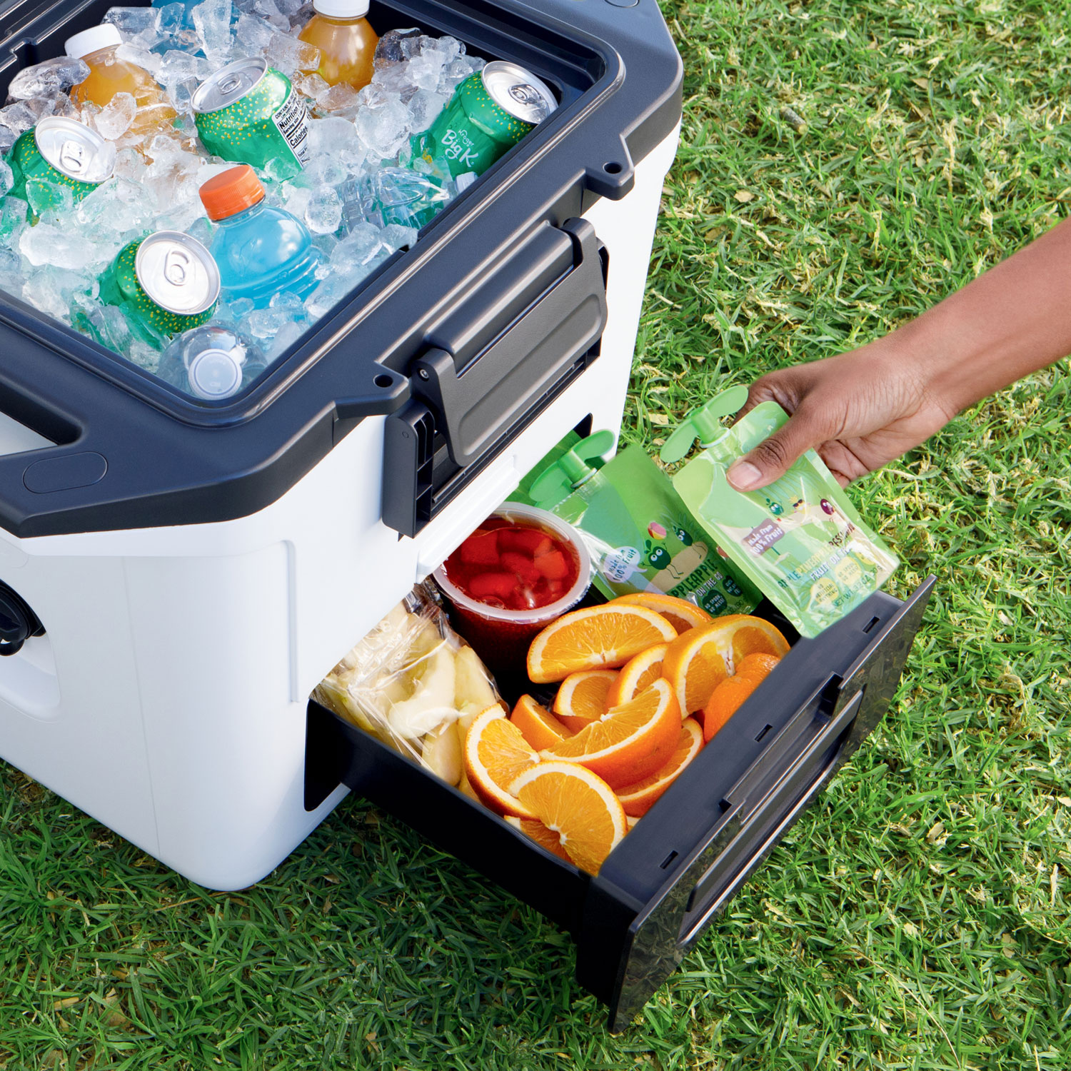 Ninja FrostVault Wheeled Cooler with Dry Zone - 29L (30 Qt