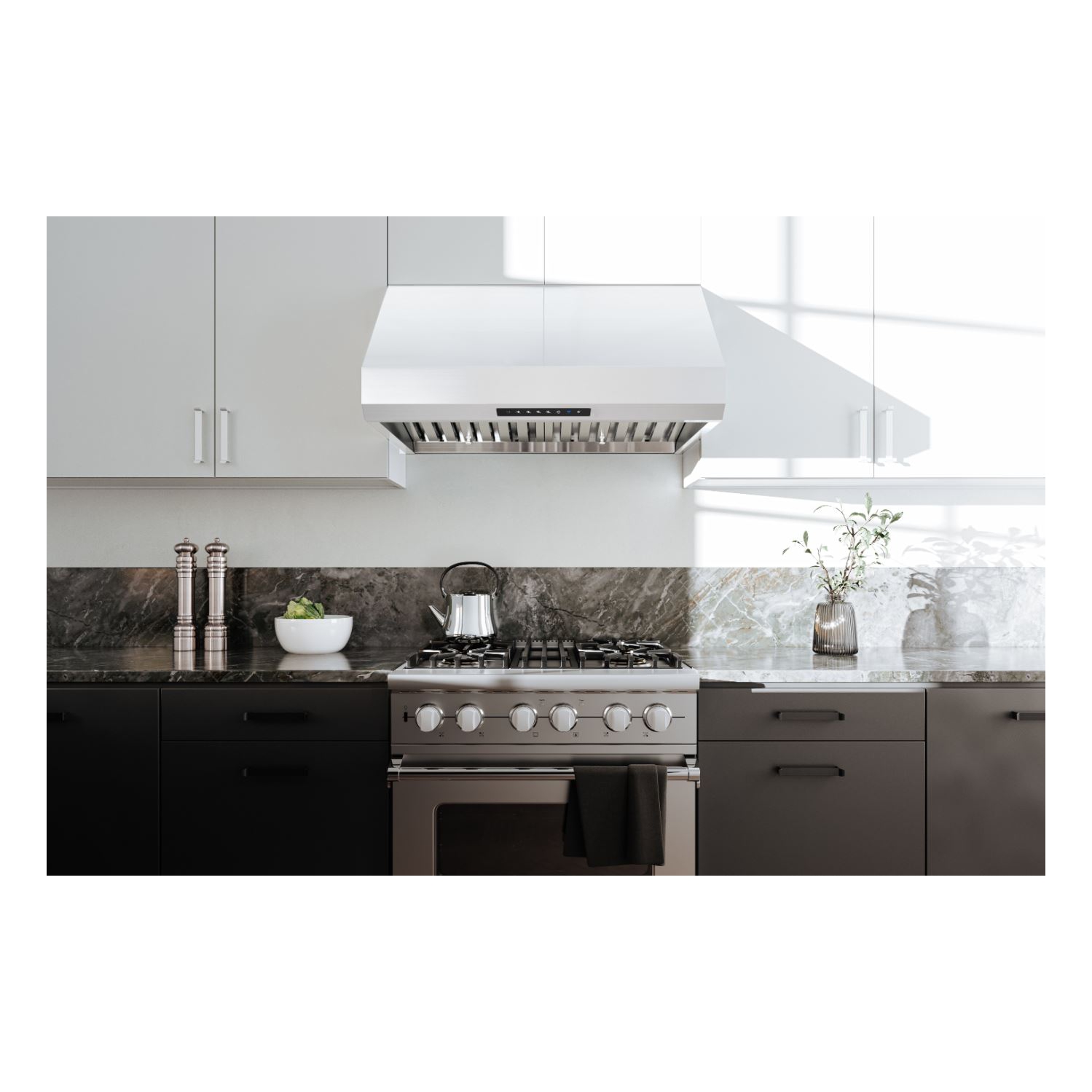 Hauslane | Série PRO PRO500 30 po| Hotte de dessous d'armoire ou murale polyvalente | Avec commande intelligente par application et LED en acier