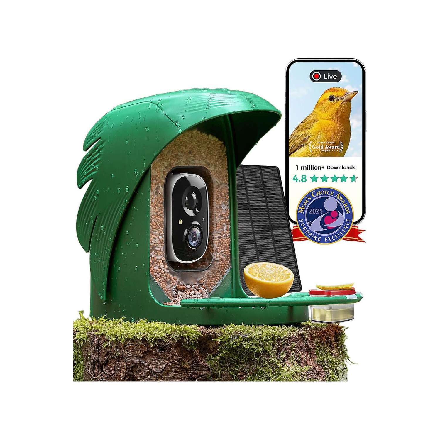 PerchMe Bird feeder with camera Forest Green
