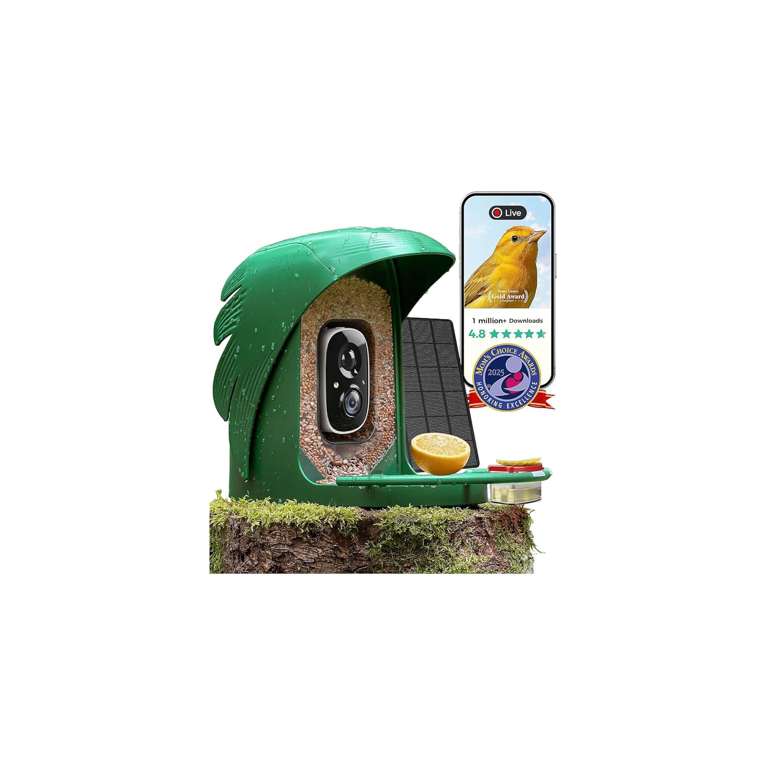 PerchMe Bird feeder with camera Navy Blue