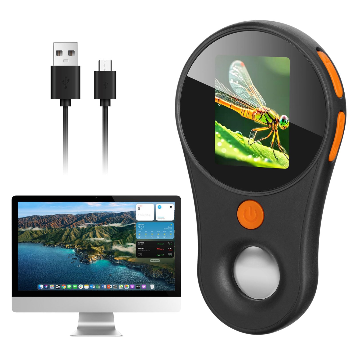 Microscope numérique portatif avec écran couleur IPS 2.0&nbsp;po grossissement 500x 200 W Pixel USB Microscope compatible avec Windows Mac OS