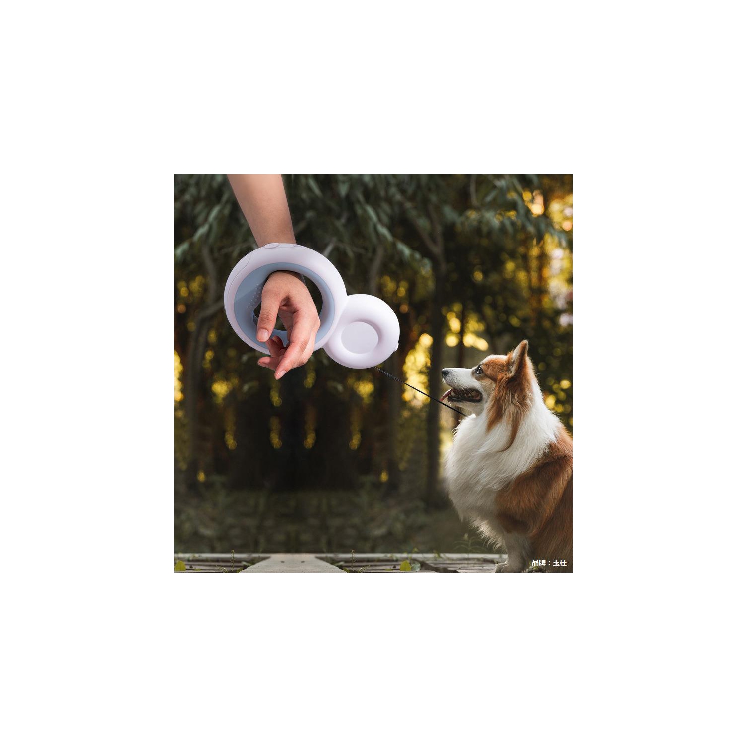 Multifunctional Automatic Retractable Dog Leash - 3M, LED Light, Poop Bag Holder, Non-Slip Handle, USB Rechargeable, 360° Tangle-Free Design,