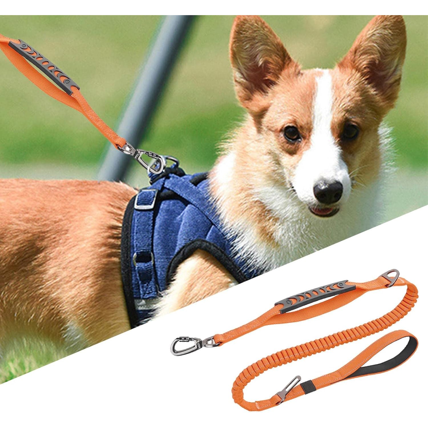 Pet Leash- Elastic Shock Absorption, Car Seat Belt Clip and Highly Reflective Thread, Double Safety Lock, 1.16-1.65M，Suitable for Medium Dogs,